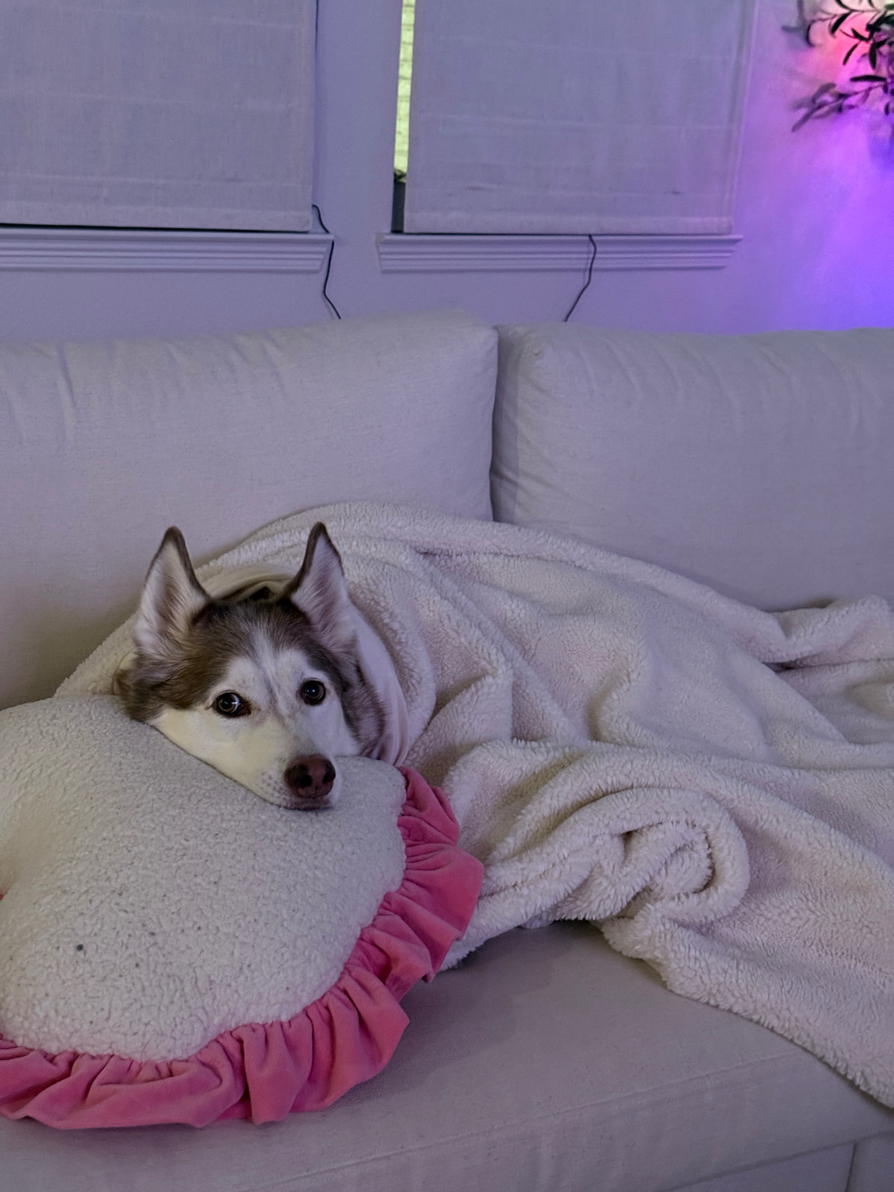 Support Yuna’s Emergency Medical Expenses campaign photo, 6 of 7