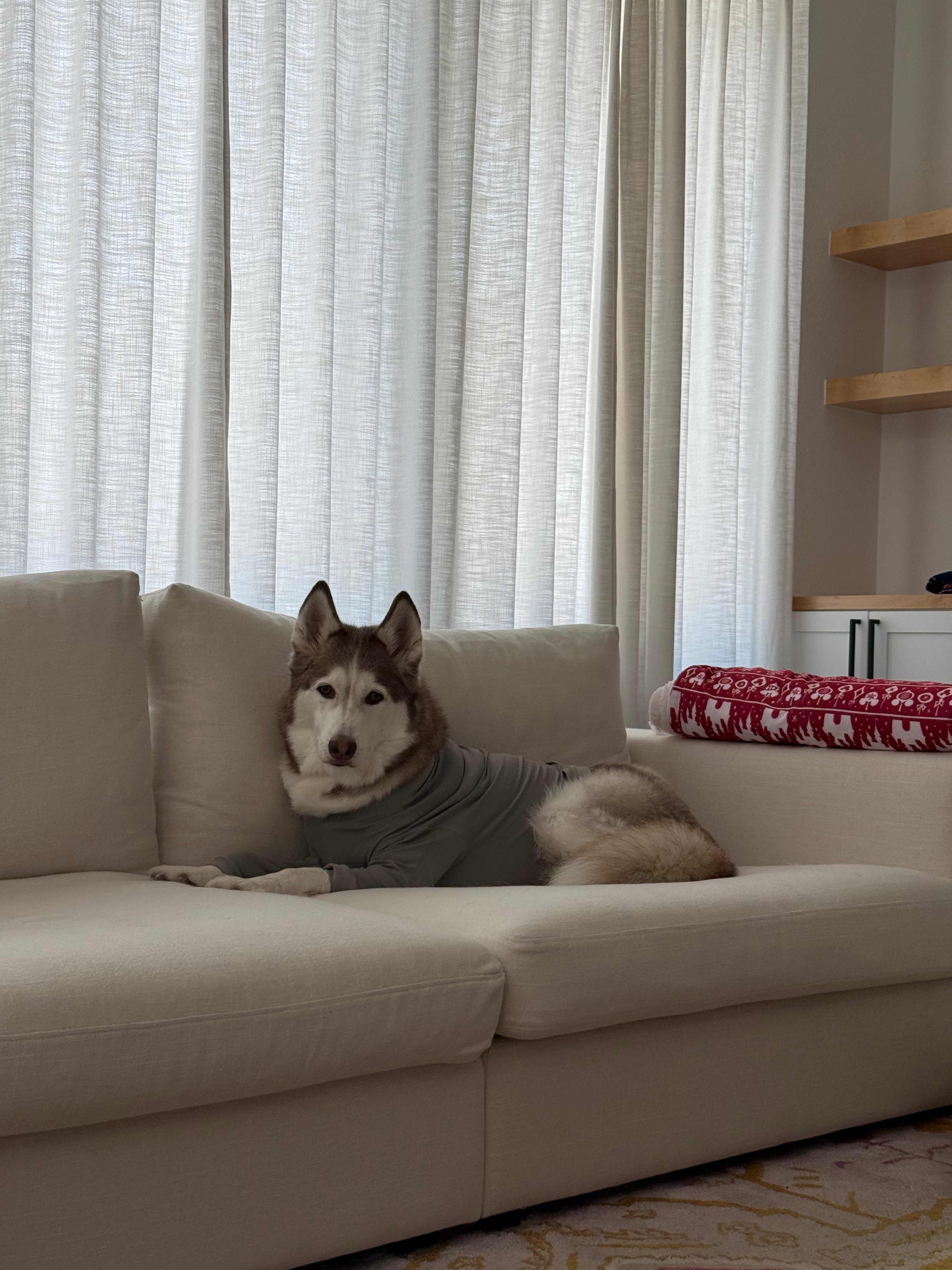 Support Yuna’s Emergency Medical Expenses campaign photo, 2 of 7