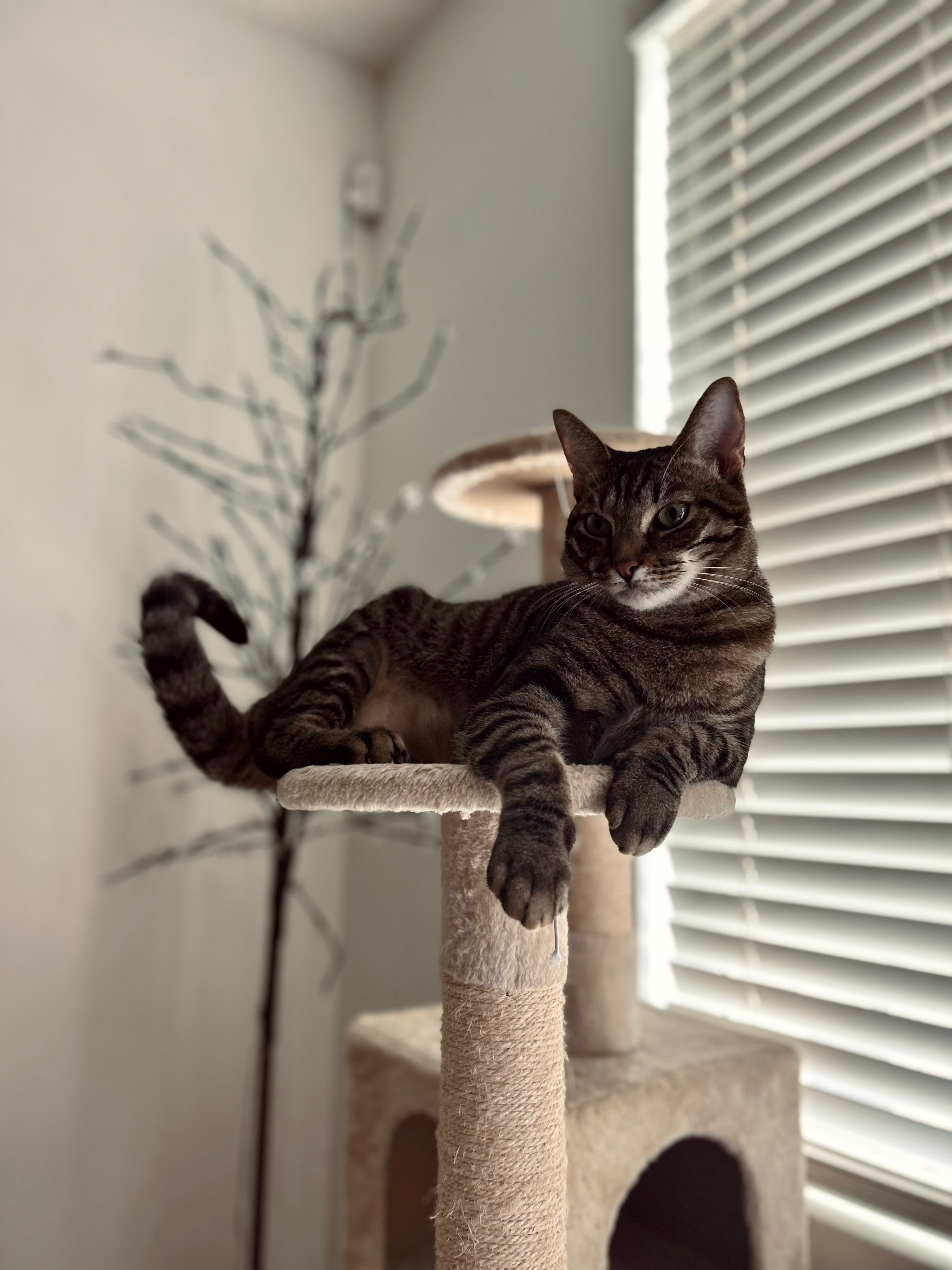Support Earl’s Life-Saving Treatment campaign photo, 2 of 7