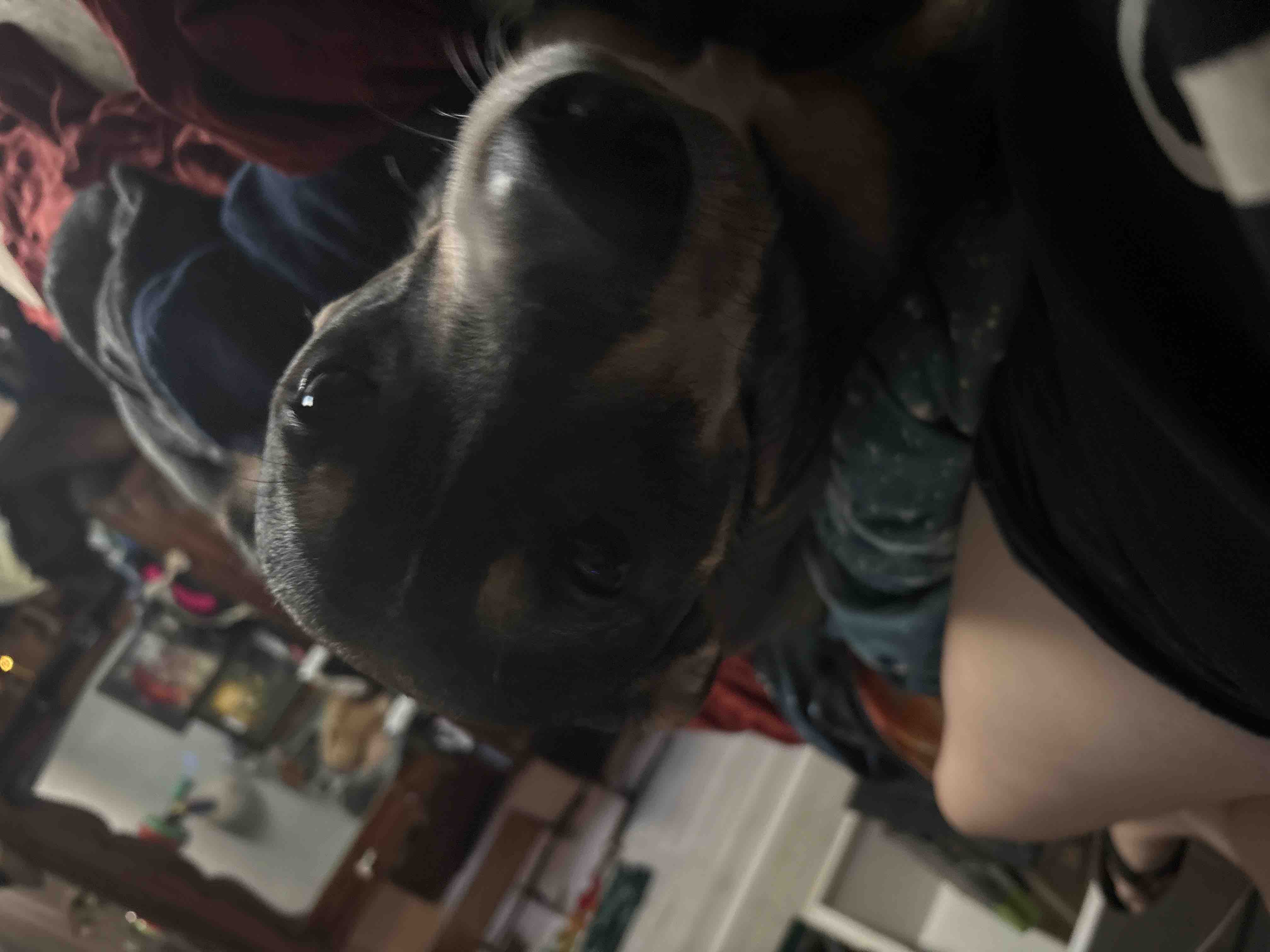 Urgent Help for Fae and Her Girlfriend's Housing Crisis campaign photo, 2 of 5