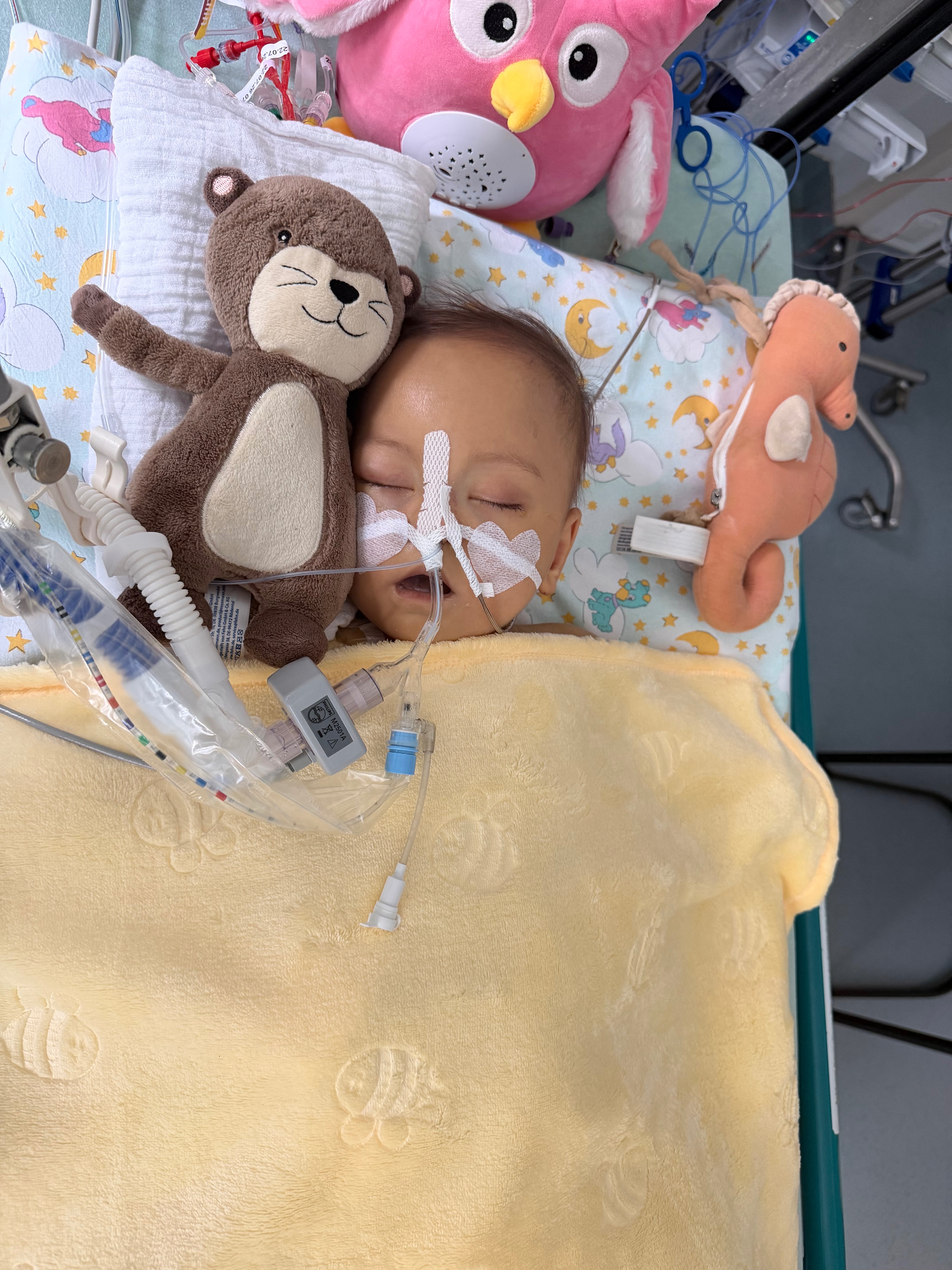 Kampagnen-Foto für Lilly kämpft und es wird noch ein langer weg, 2 von 5