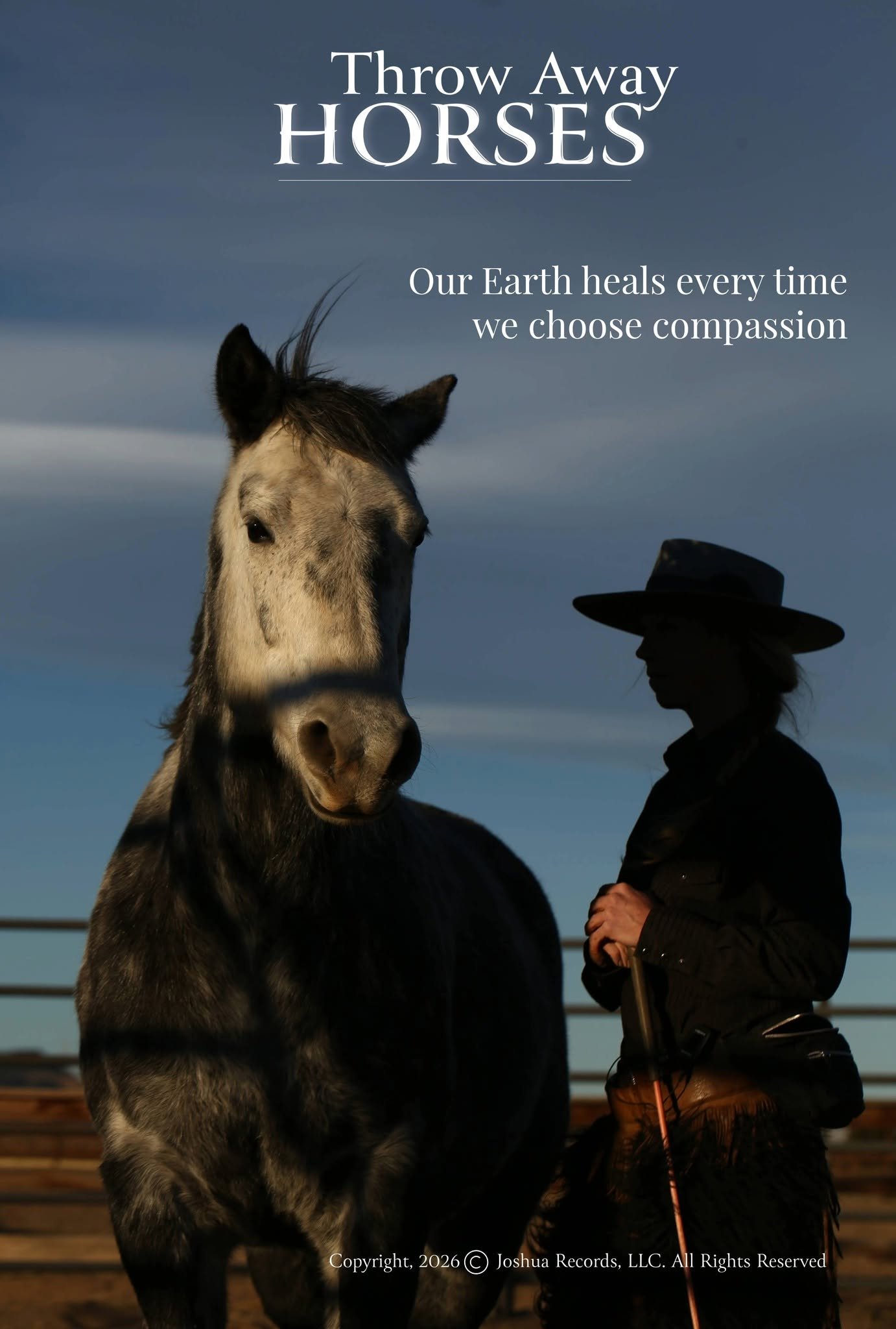 Help Save Neglected Horses with Our Film campaign photo, 6 of 8