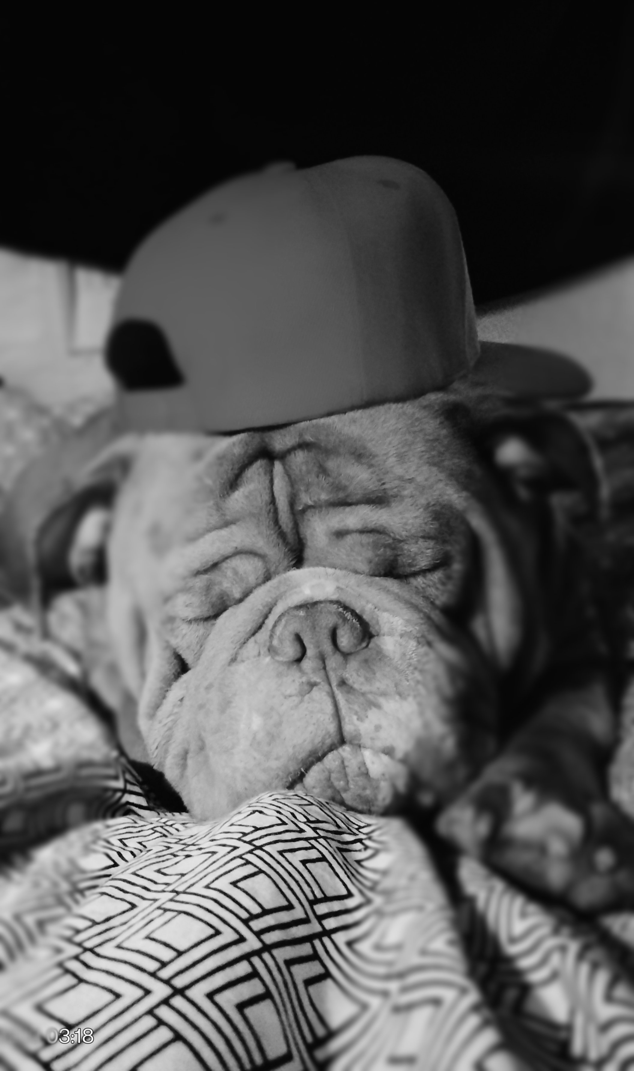 Help Pako's Family lay him to rest campaign photo, 9 of 10