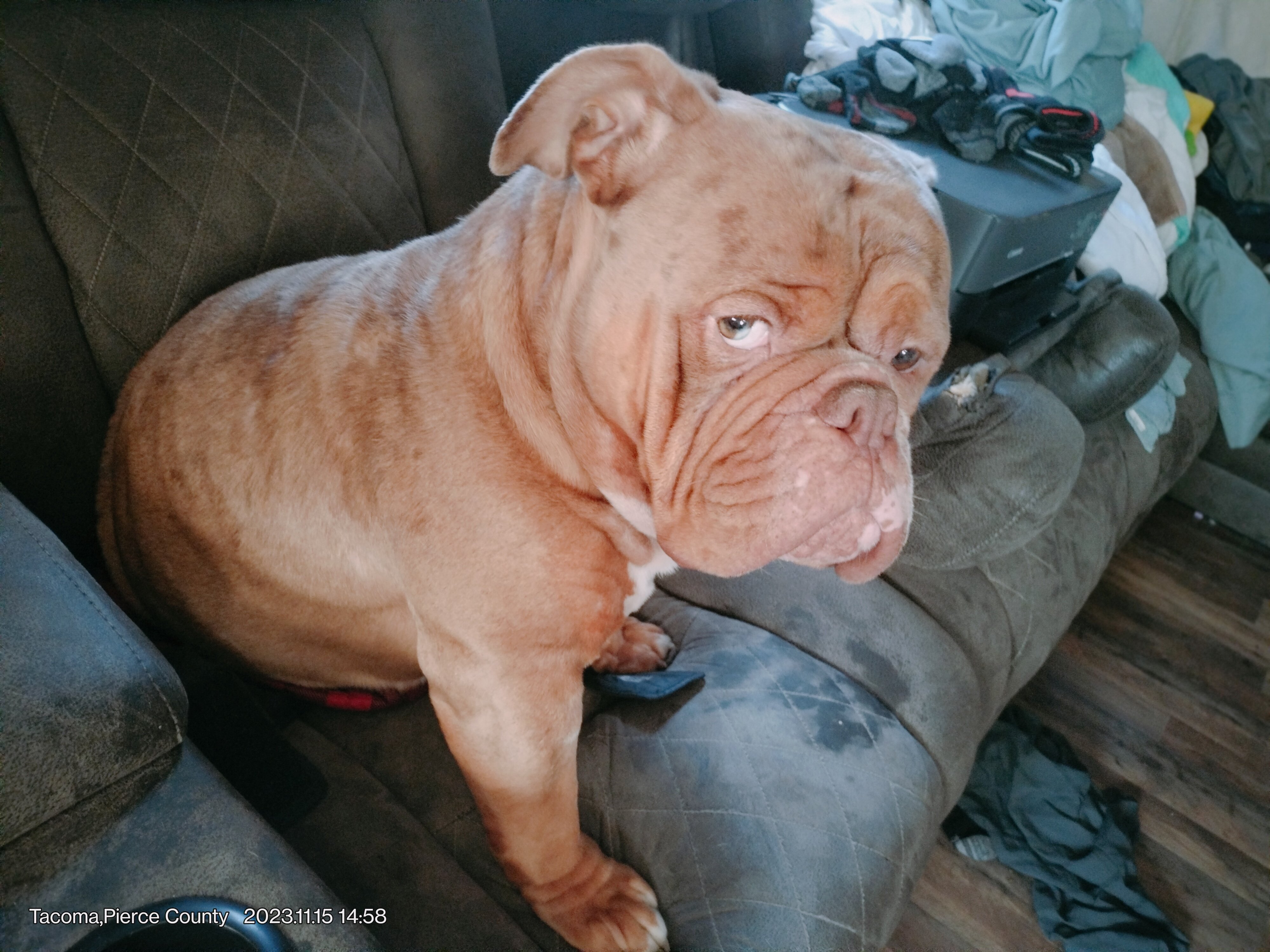 Help Pako's Family lay him to rest campaign photo, 6 of 10