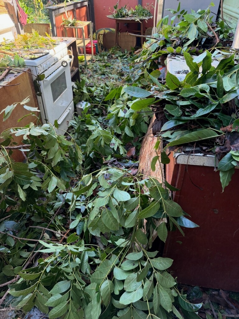 Kilauea Farm Damage Needs a New Greenhouse and Repairs campaign photo, 2 of 8