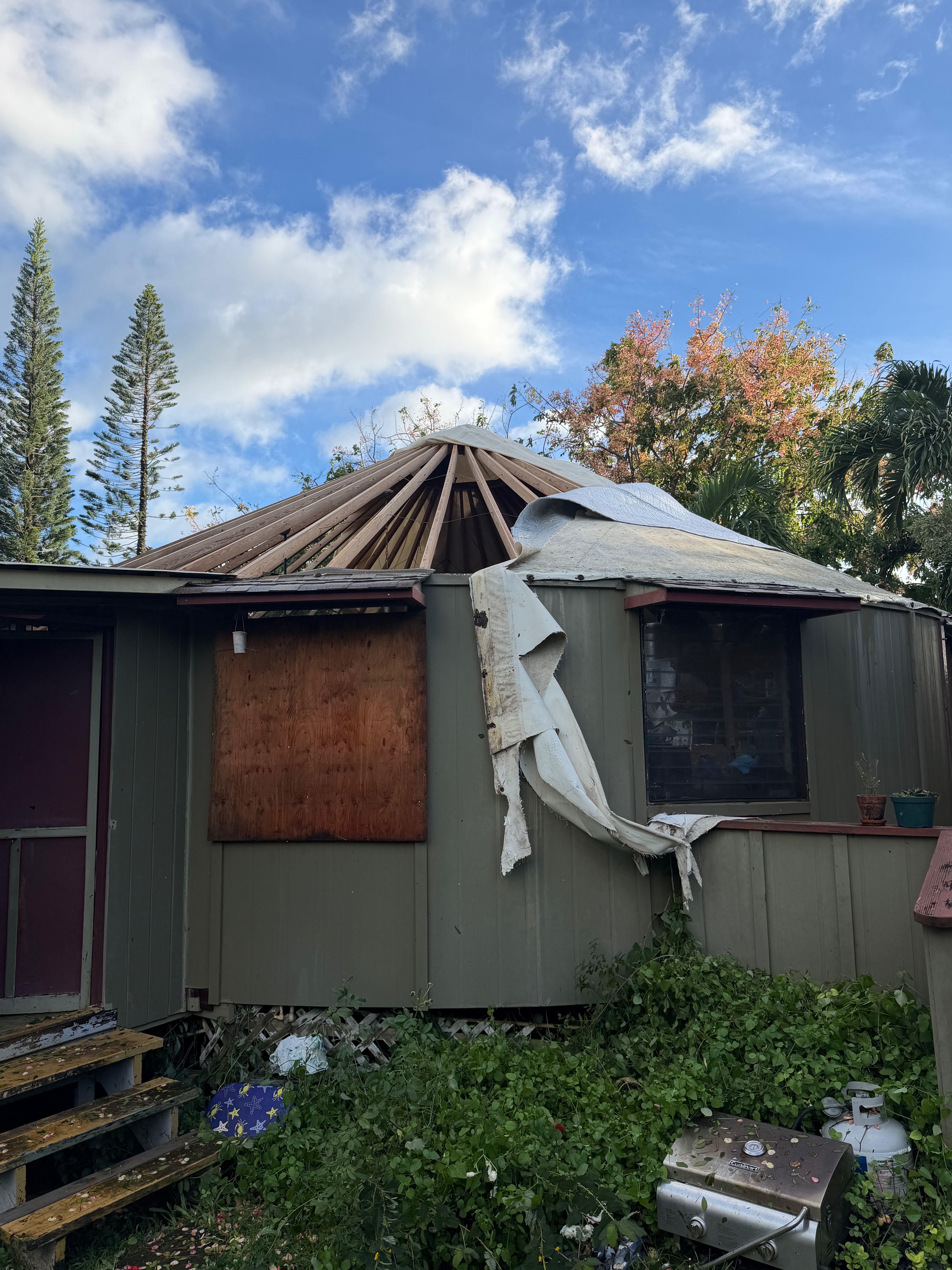 Aloha Ola Farms - Needs a New Greenhouse and Repairs campaign photo, 8 of 10