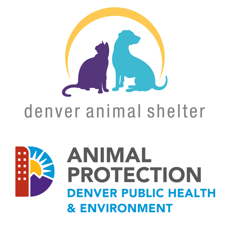 Battle In Mile High 2 - Denver Animal Shelter Donations campaign photo, 2 of 4