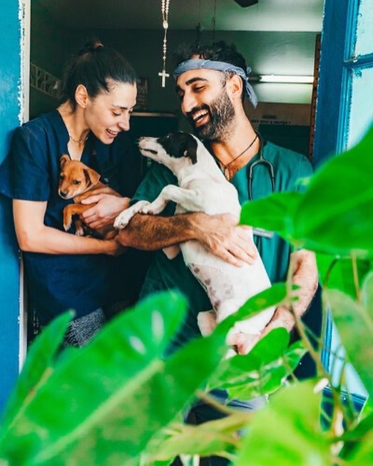 Help Salty Paws Make Spay & Neuter Surgeries Safer campaign photo, 6 of 7