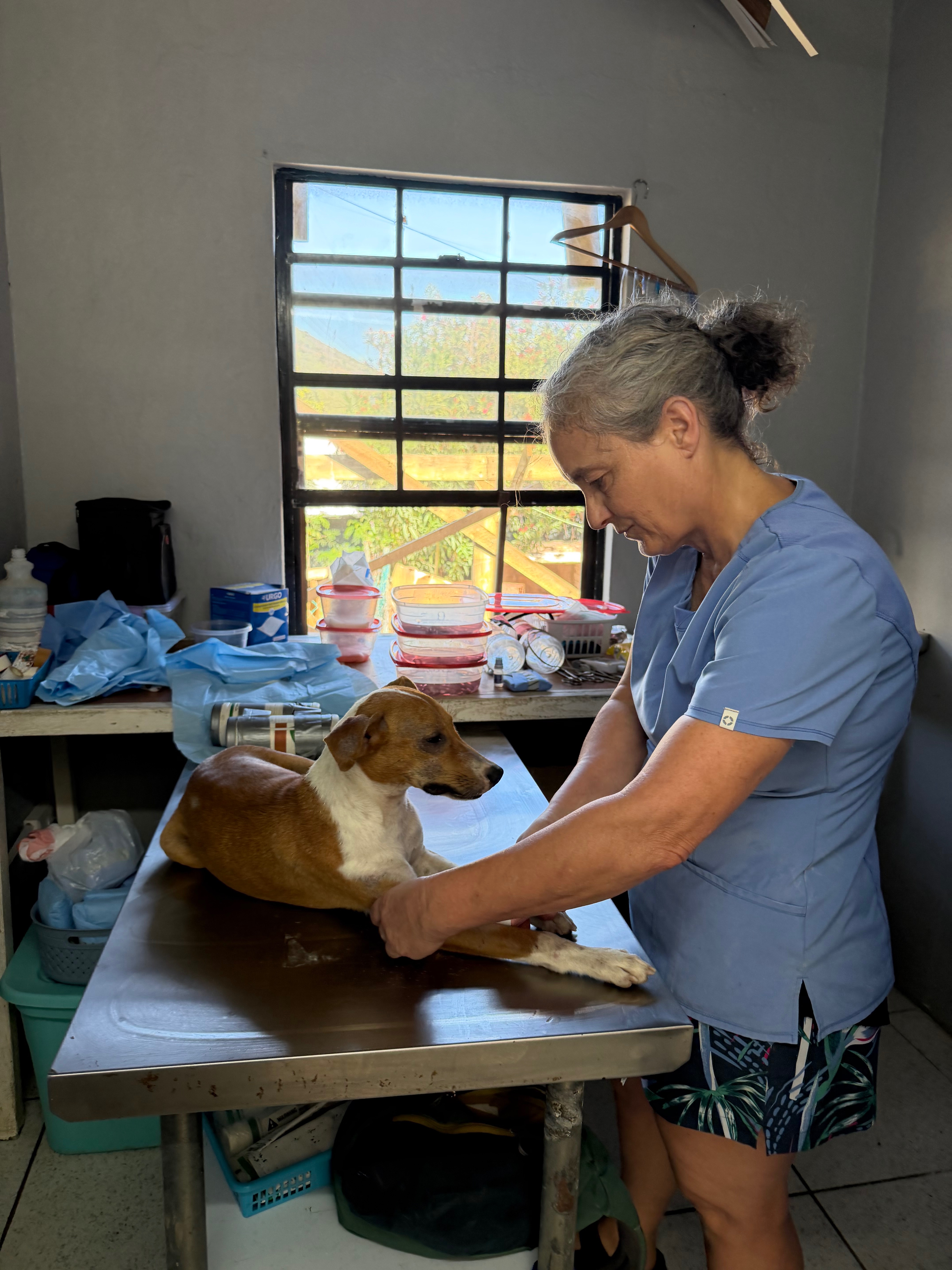Help Salty Paws Make Spay & Neuter Surgeries Safer campaign photo, 5 of 7