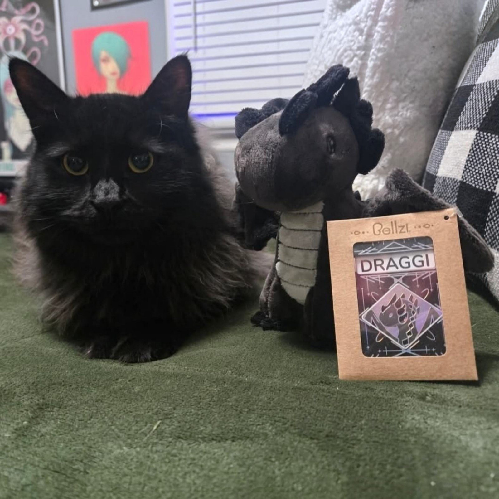 Help Draggi Get Urgent Vet Care campaign photo, 5 of 6