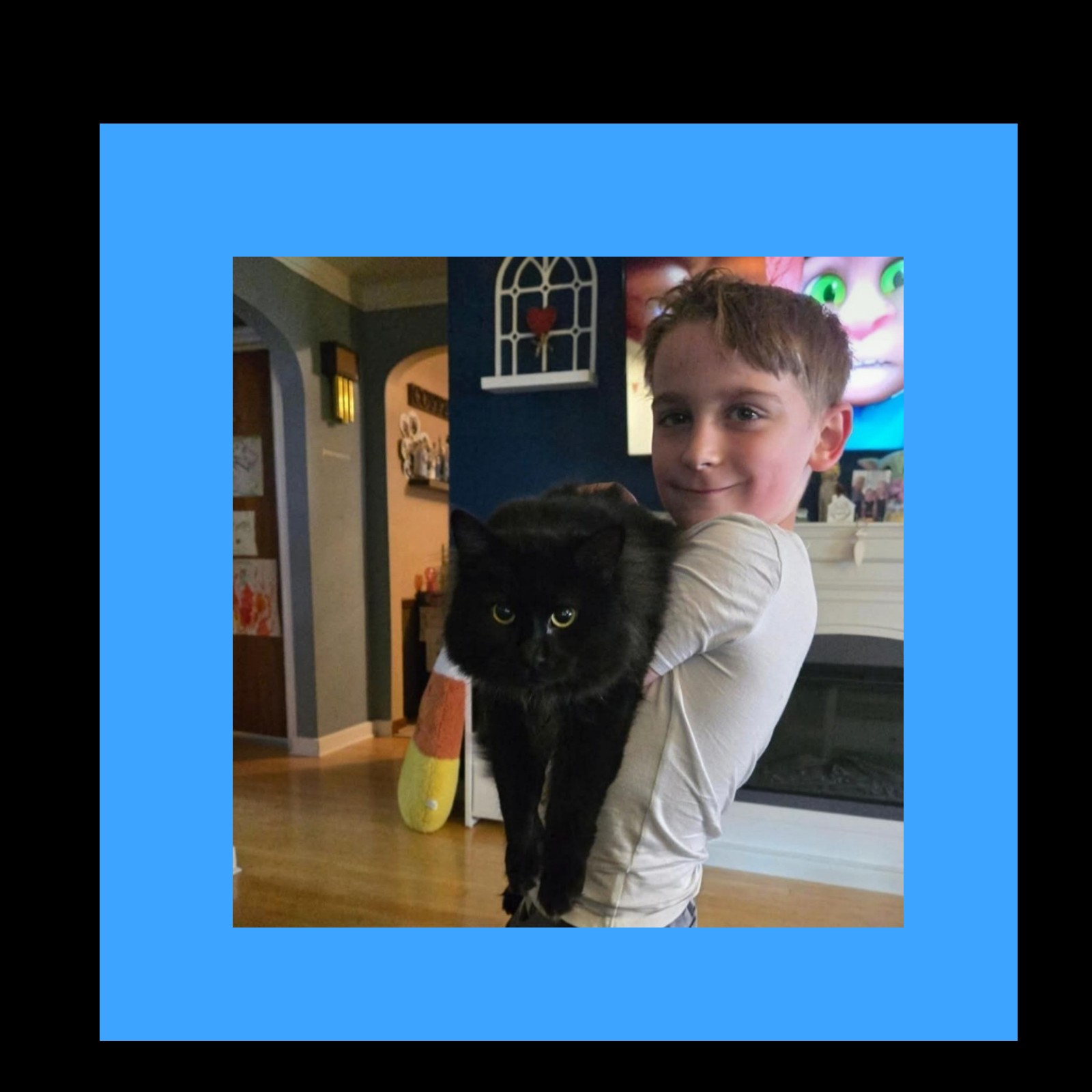 Help Draggi Get Urgent Vet Care campaign photo, 4 of 6