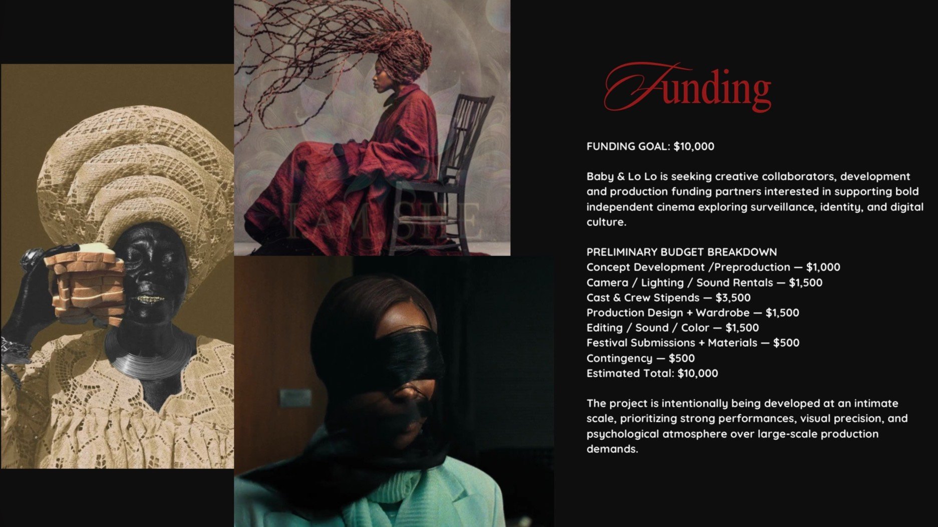 Help Us Finish ‘Baby & Lo Lo’ A Short Film! campaign photo, 4 of 8