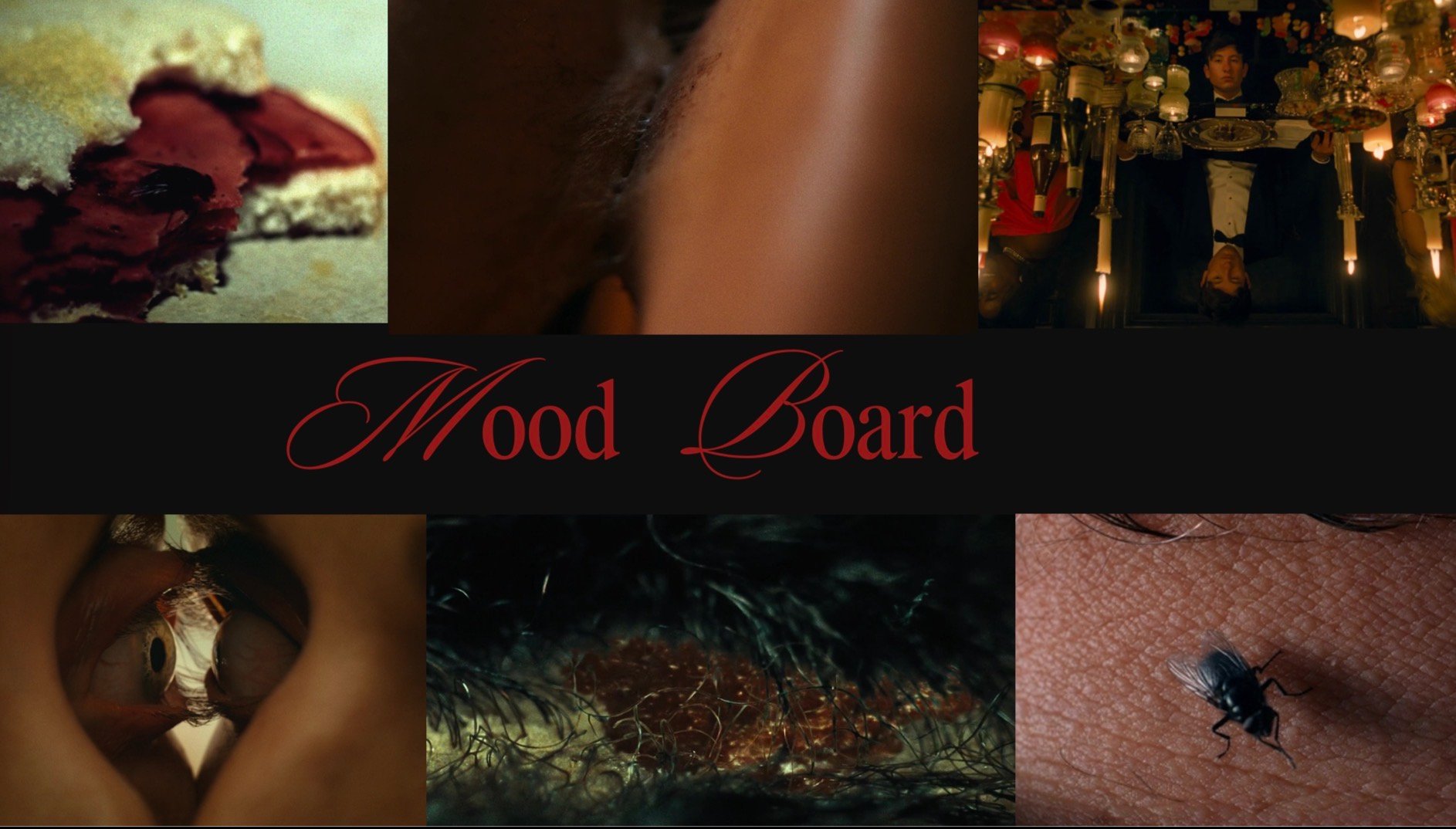 Help Us Finish ‘Baby & Lo Lo’ A Short Film! campaign photo, 6 of 8