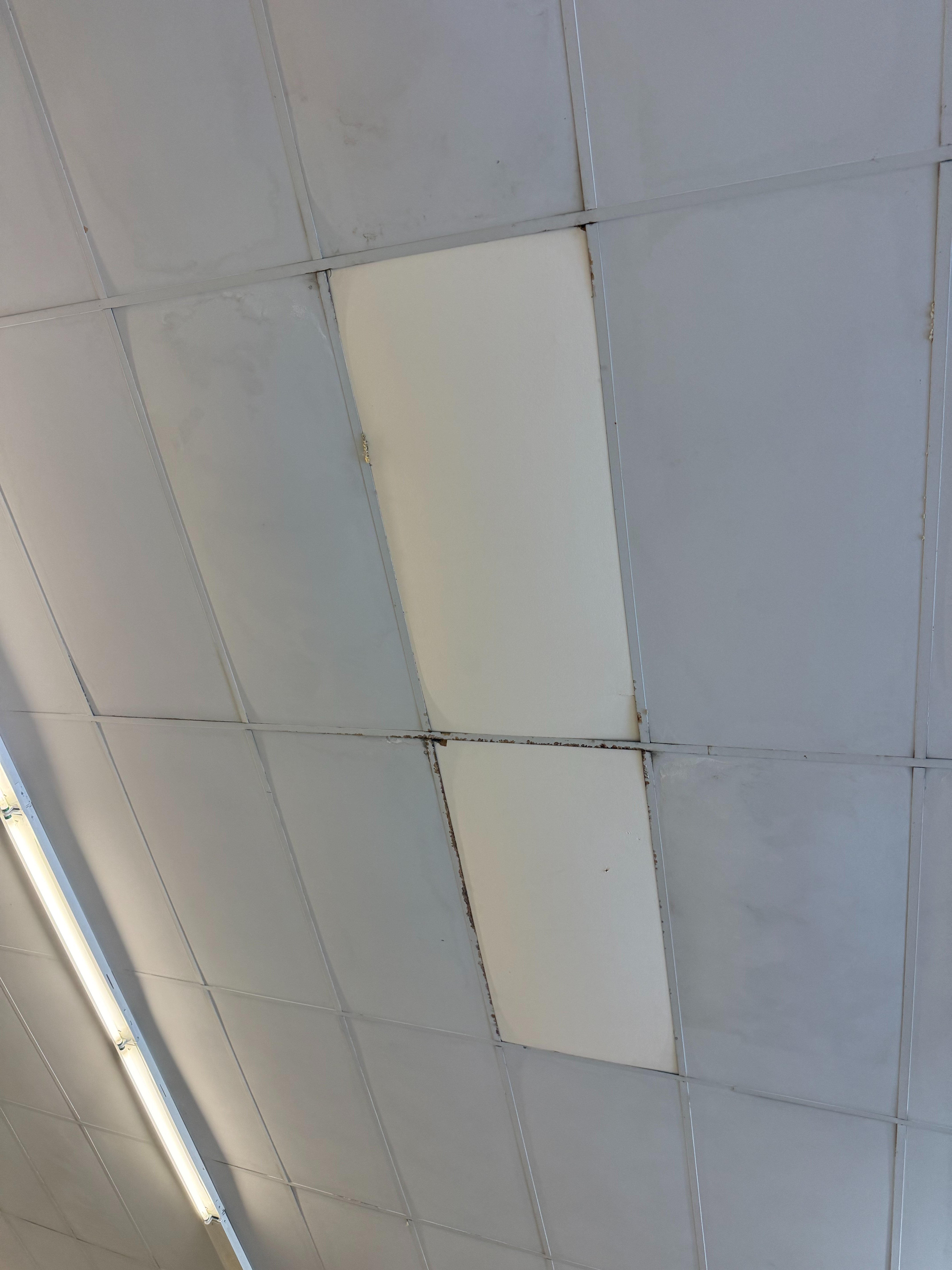Tile by Tile: Help Us Replace 1,500 Ceiling Tiles campaign photo, 2 of 6