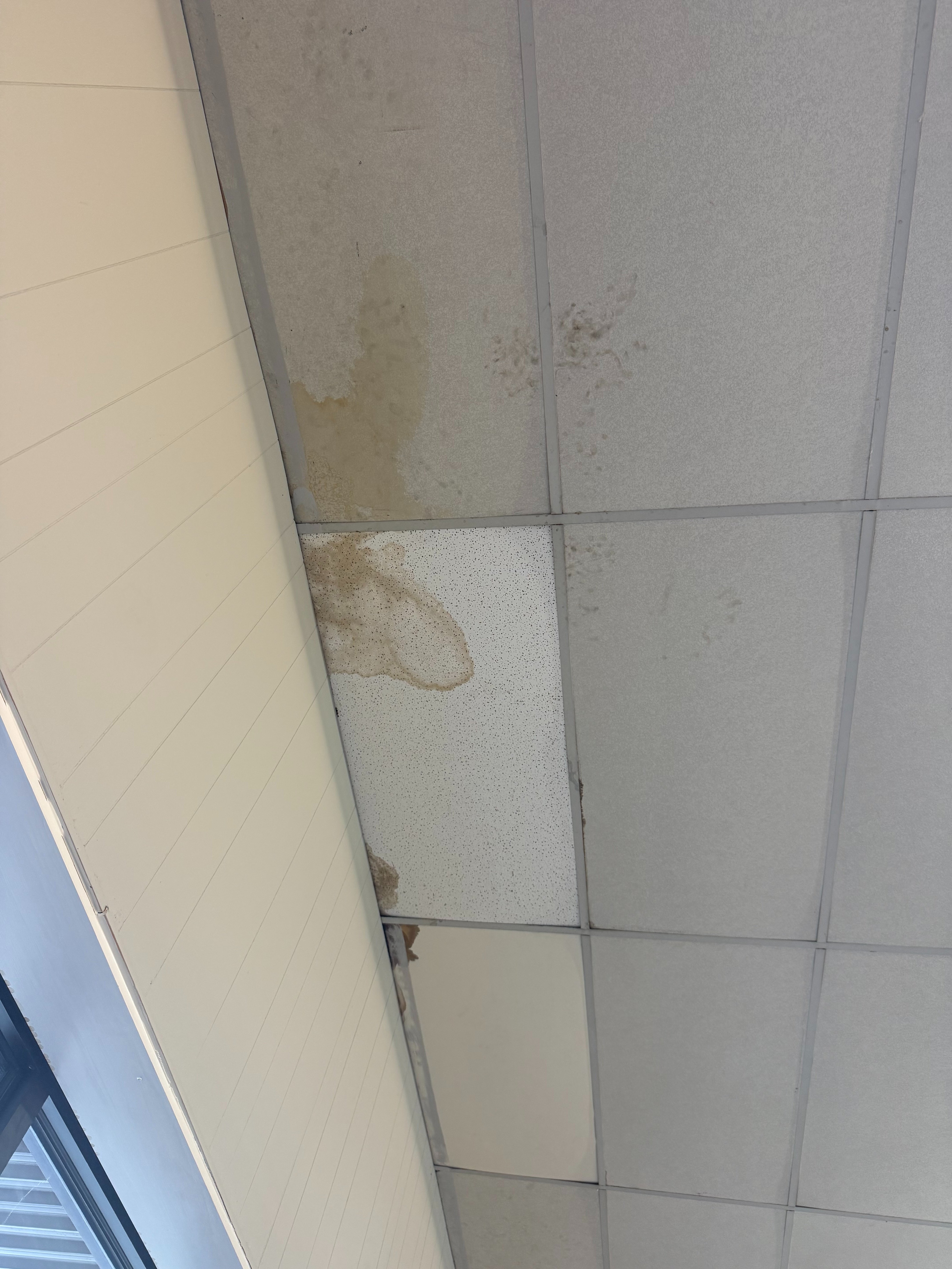 Tile by Tile: Help Us Replace 1,500 Ceiling Tiles campaign photo, 4 of 6