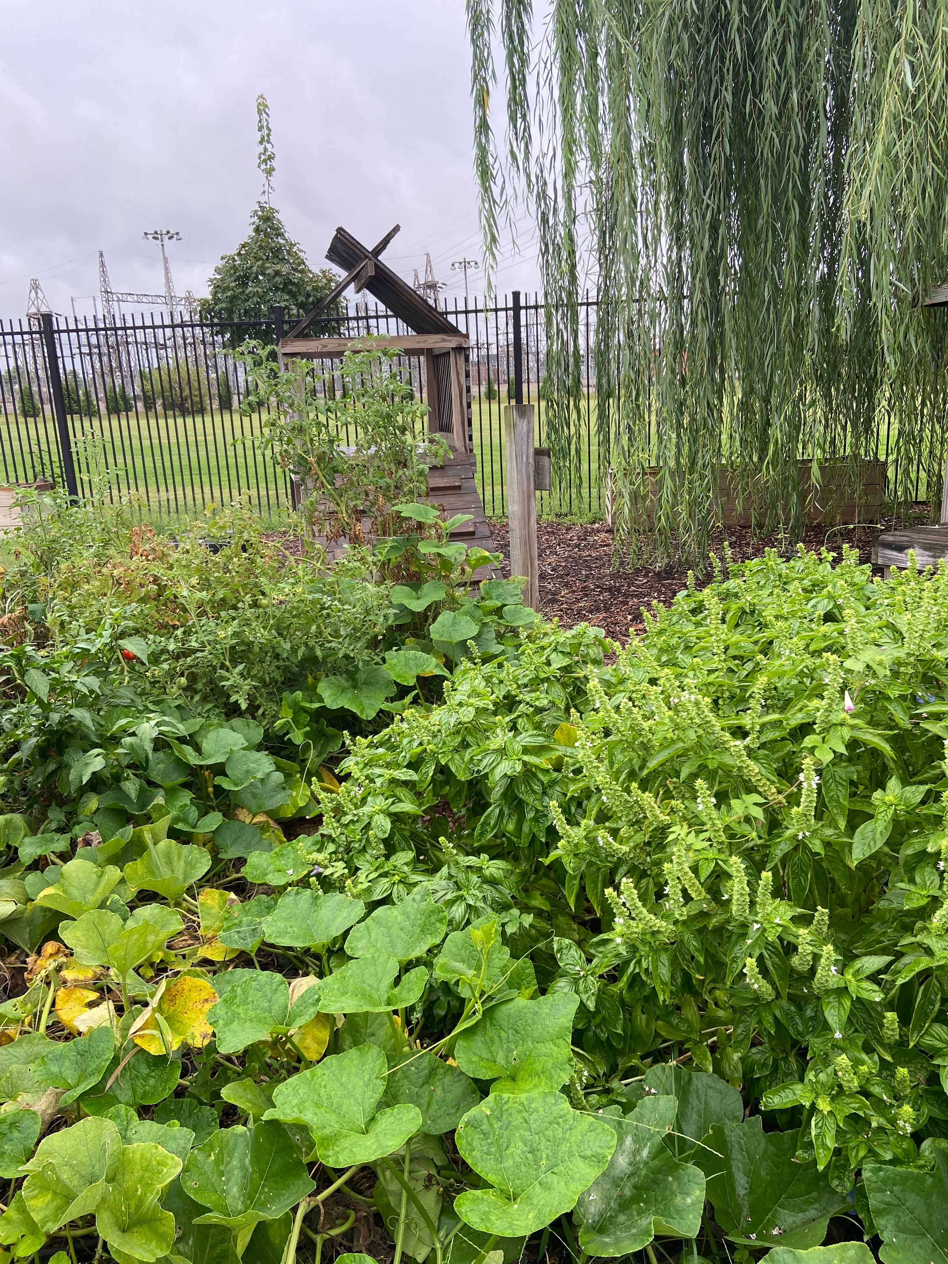 Help Keystone Improve its Nature Explore Outdoor Classroom campaign photo, 4 of 7