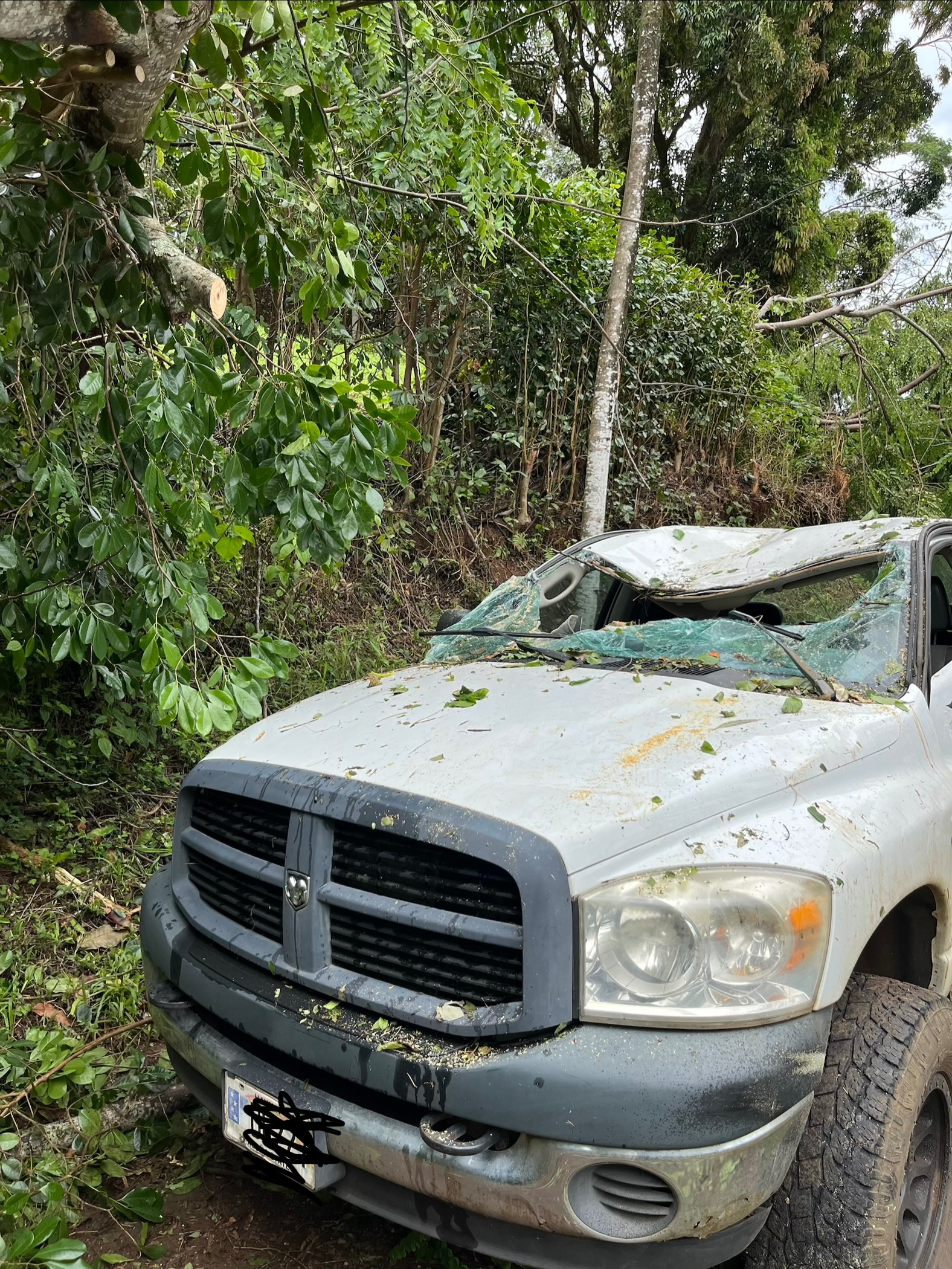 Rebuilding After the Hurricane campaign photo, 6 of 6