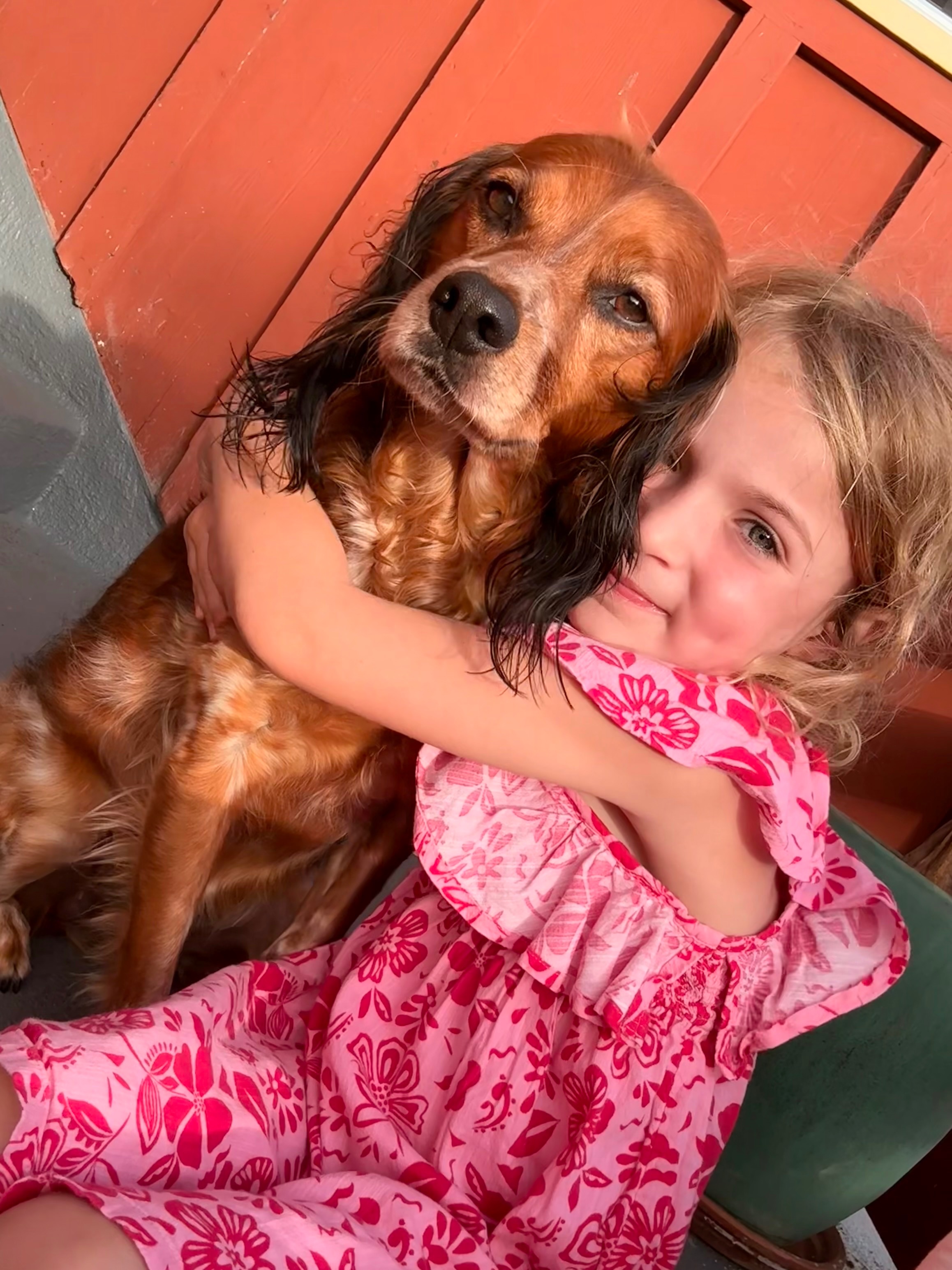 Pet Insurance Denial and Kora Needs Our Help campaign photo, 2 of 8