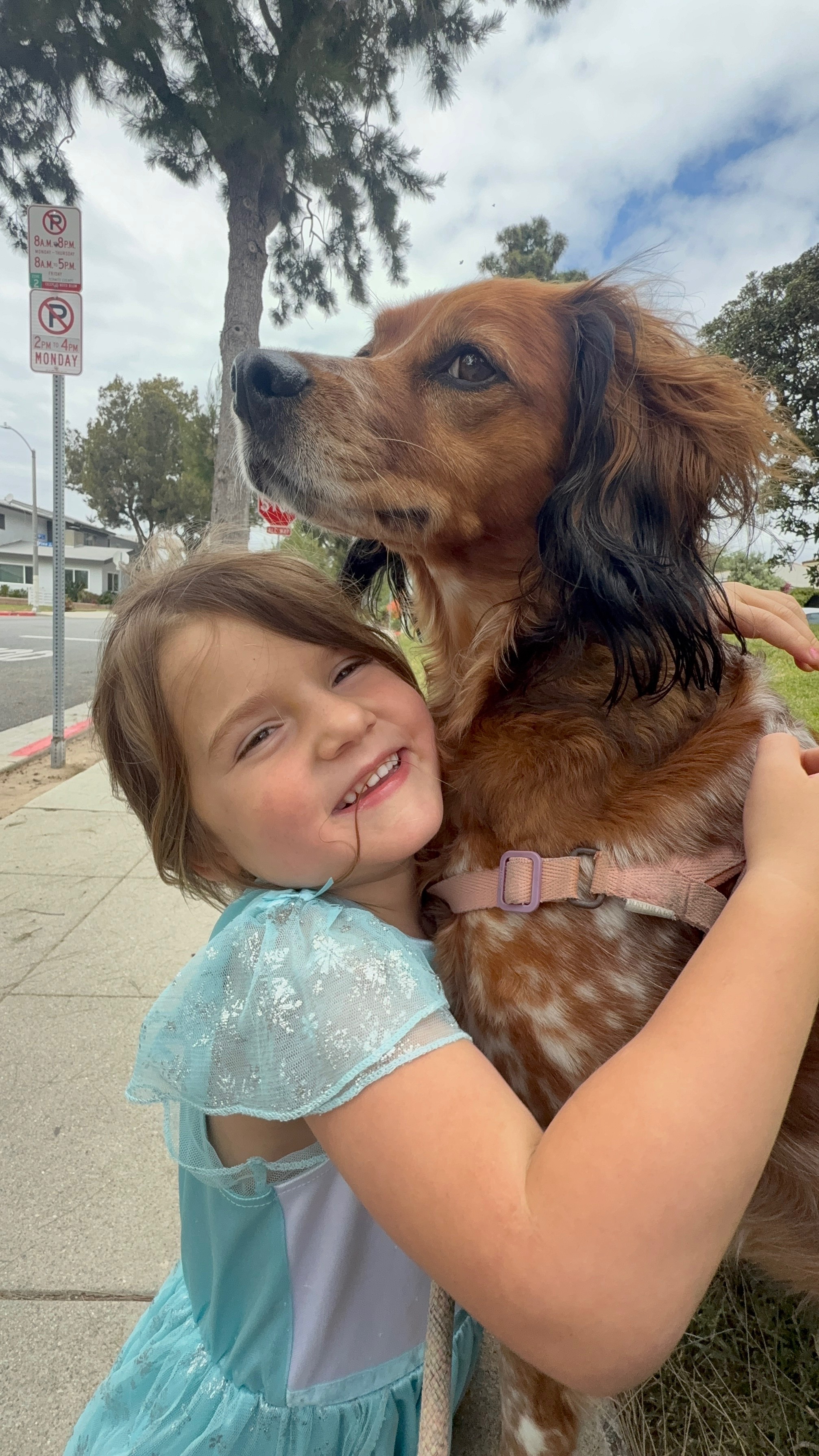 Pet Insurance Denial and Kora Needs Our Help campaign photo, 7 of 8