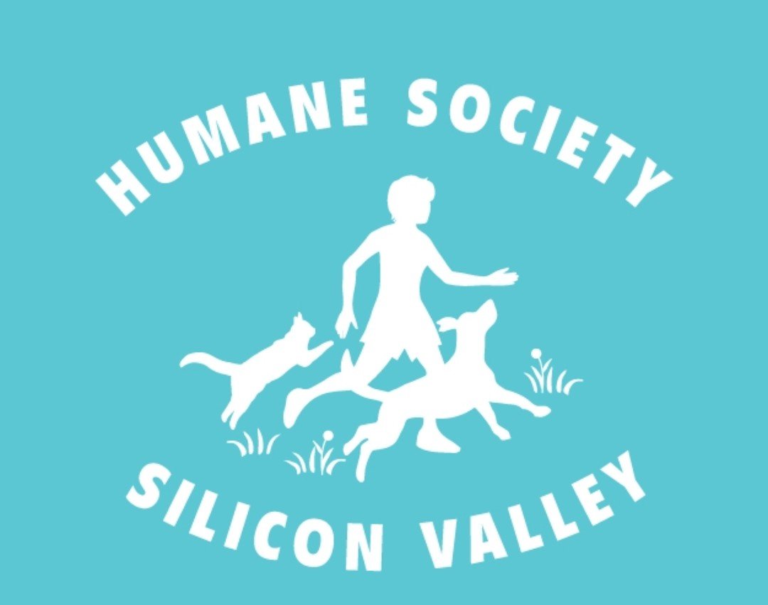 Support Local Animals Through Animal Aid's Fundraiser campaign photo, 2 of 4