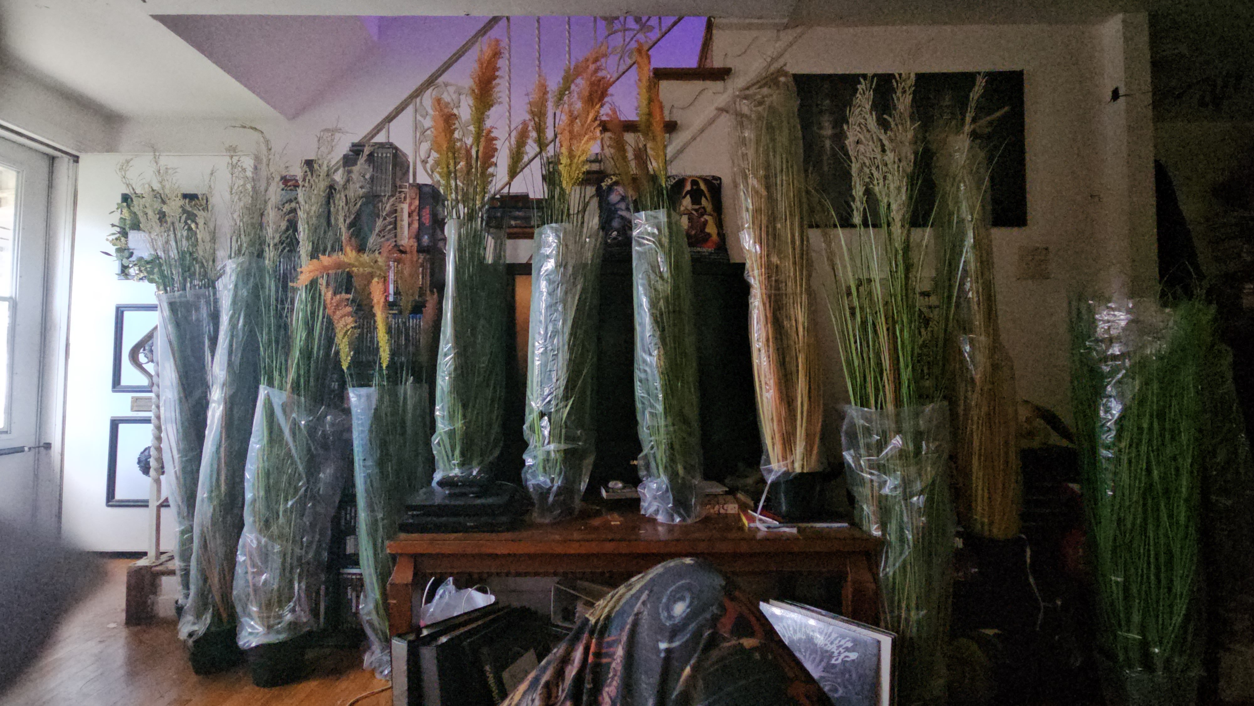 Help Complete PARADIS — A Handmade Apocalyptic Film campaign photo, 5 of 7
