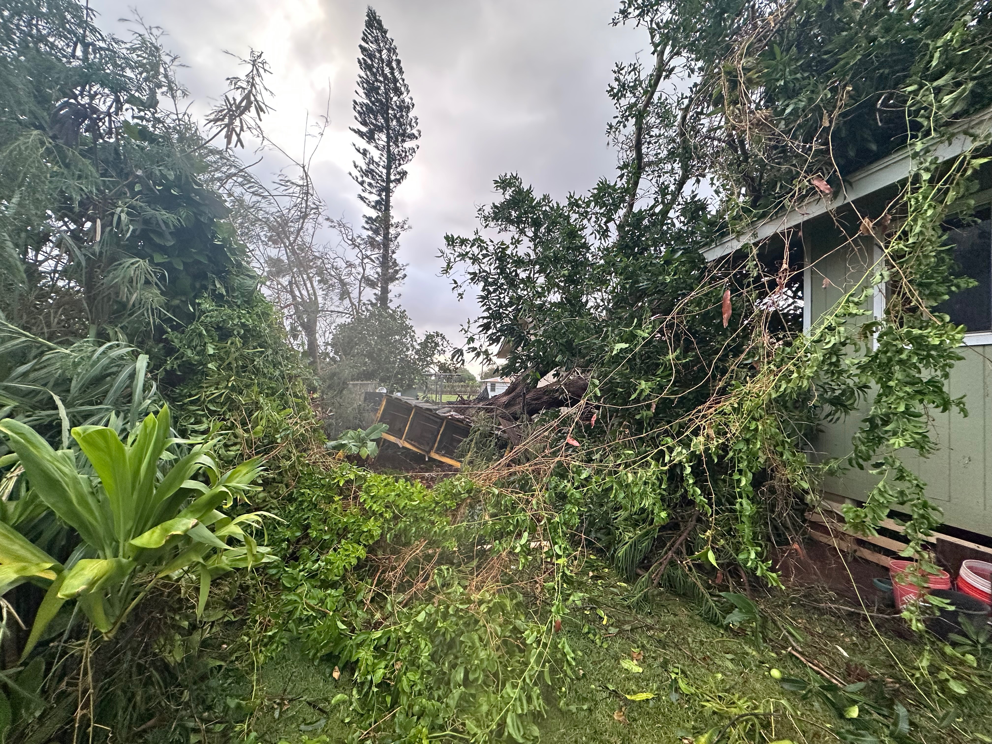 Help the Swain Family Rebuild after Hurricane Lowell campaign photo, 2 of 7