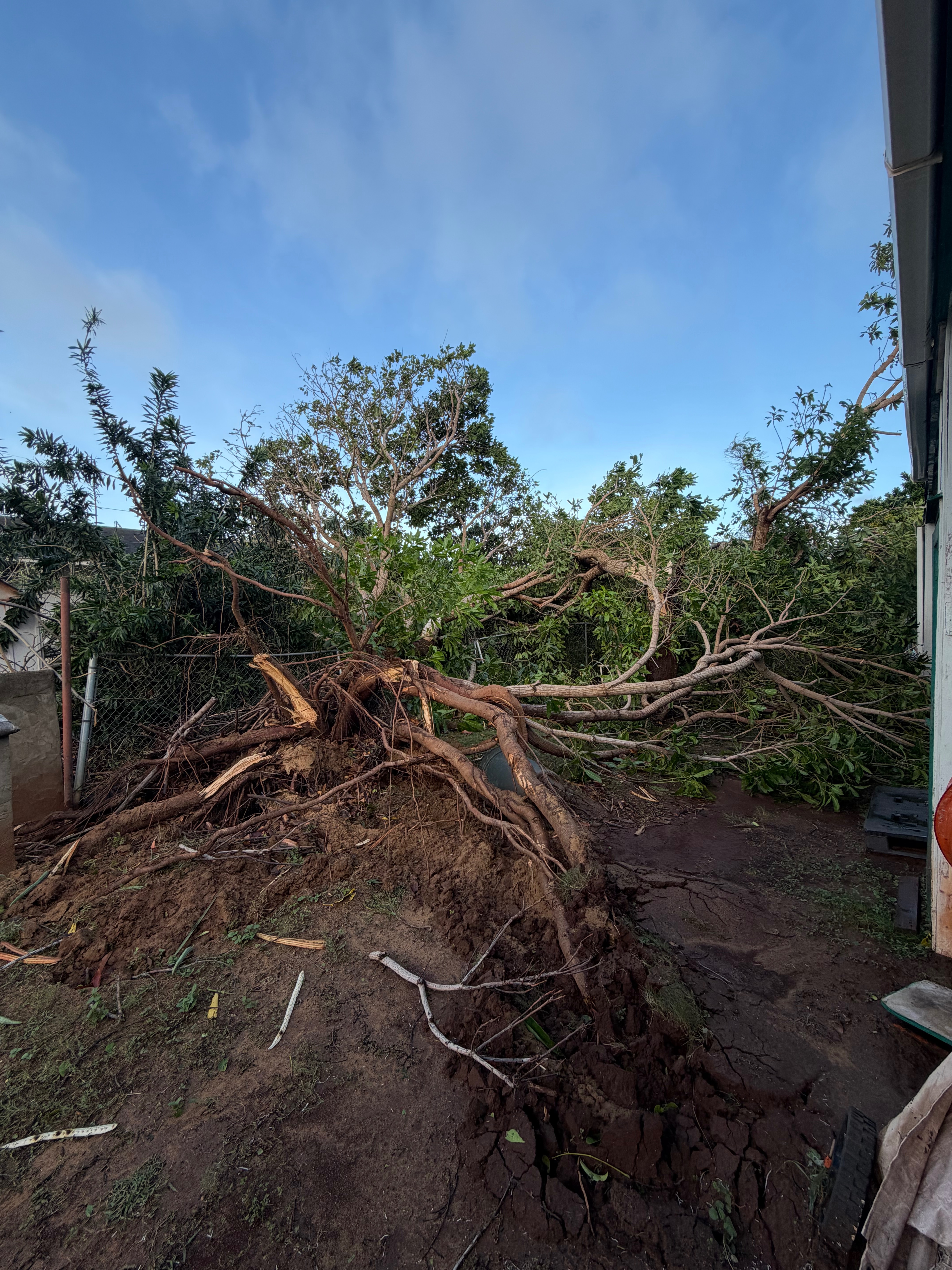 Recovering From Hurricane Lowell Damage campaign photo, 4 of 5