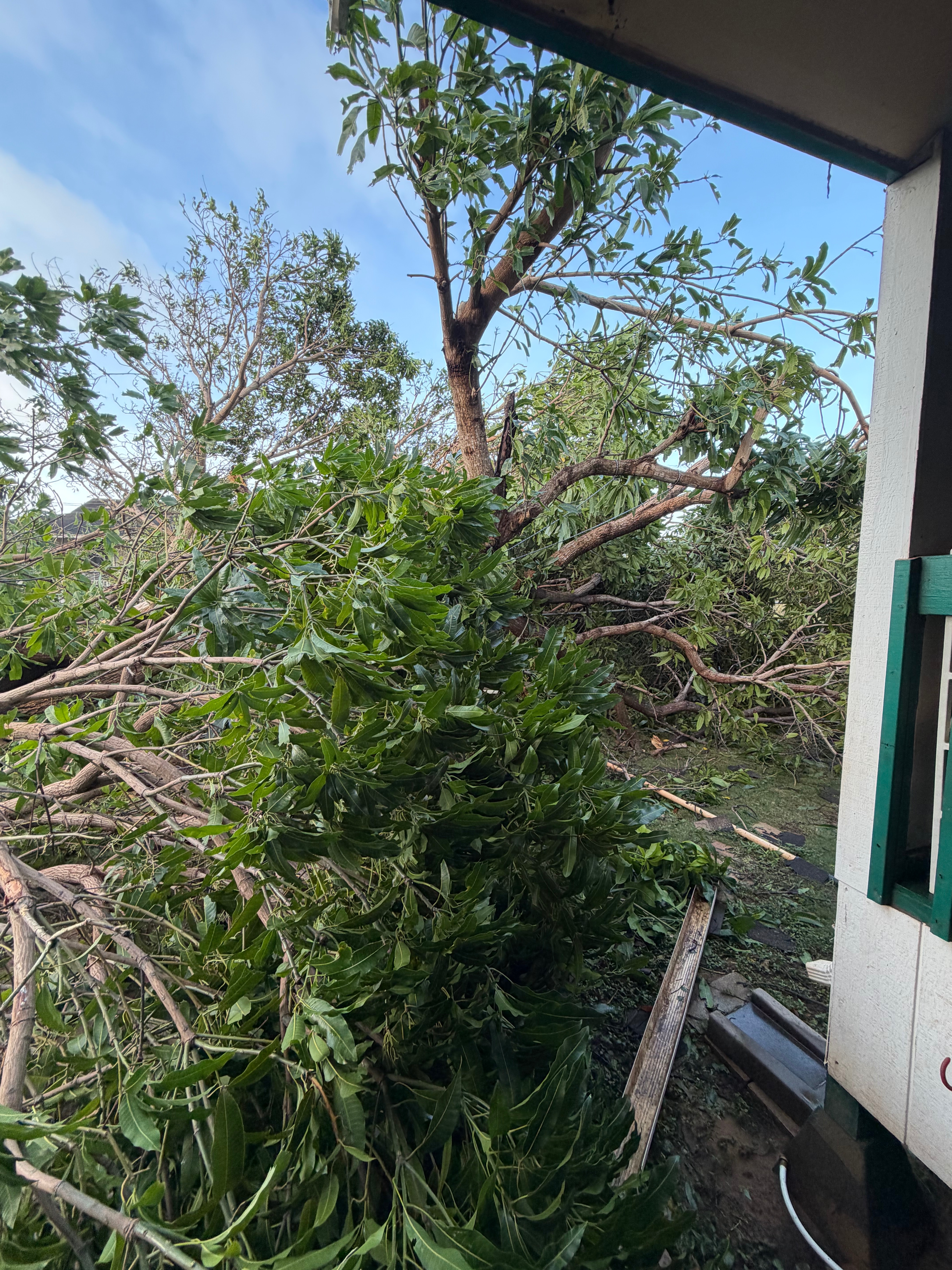 Recovering From Hurricane Lowell Damage campaign photo, 2 of 5