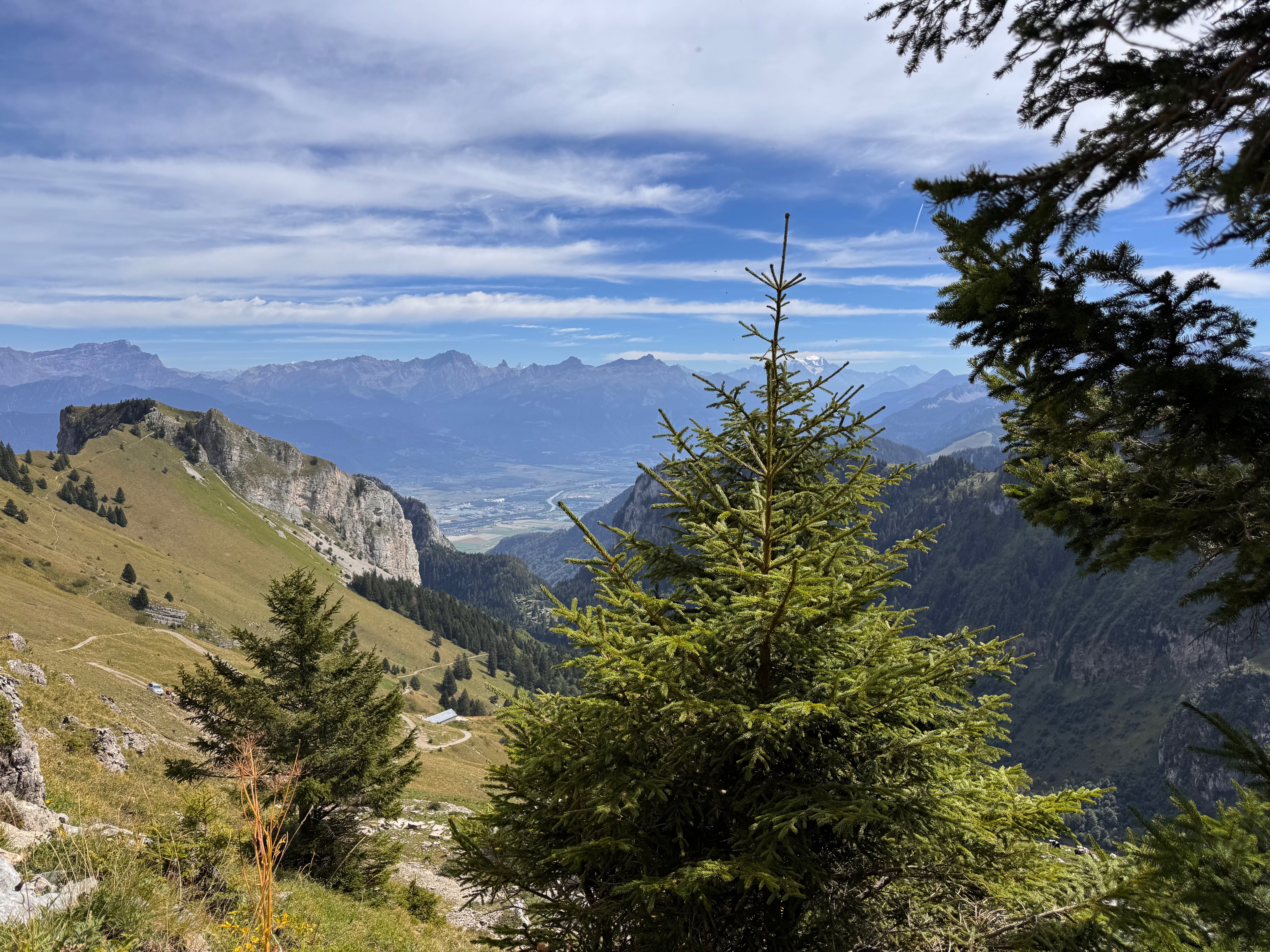 To write and record my first harp album inspired by the Alps campaign photo, 6 of 8