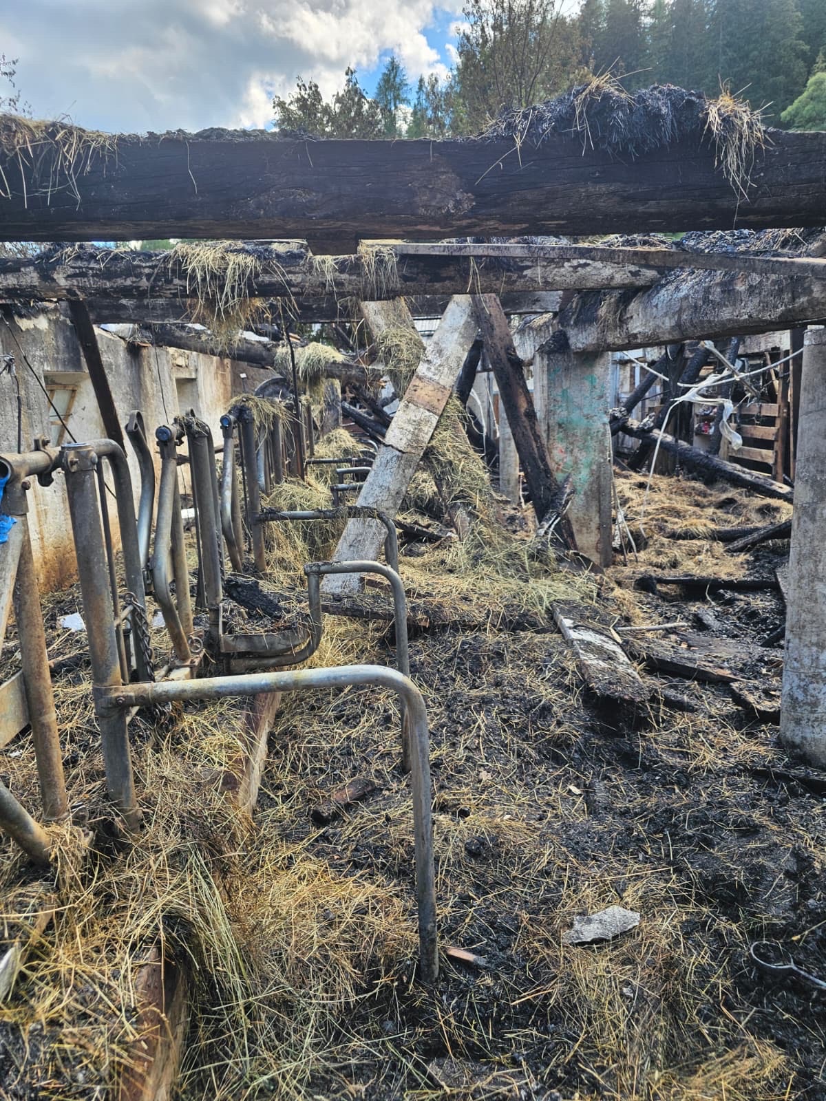 Kampagnen-Foto für Unser Hof ist abgebrannt – helft uns, wieder aufzubauen ❤️, 2 von 7