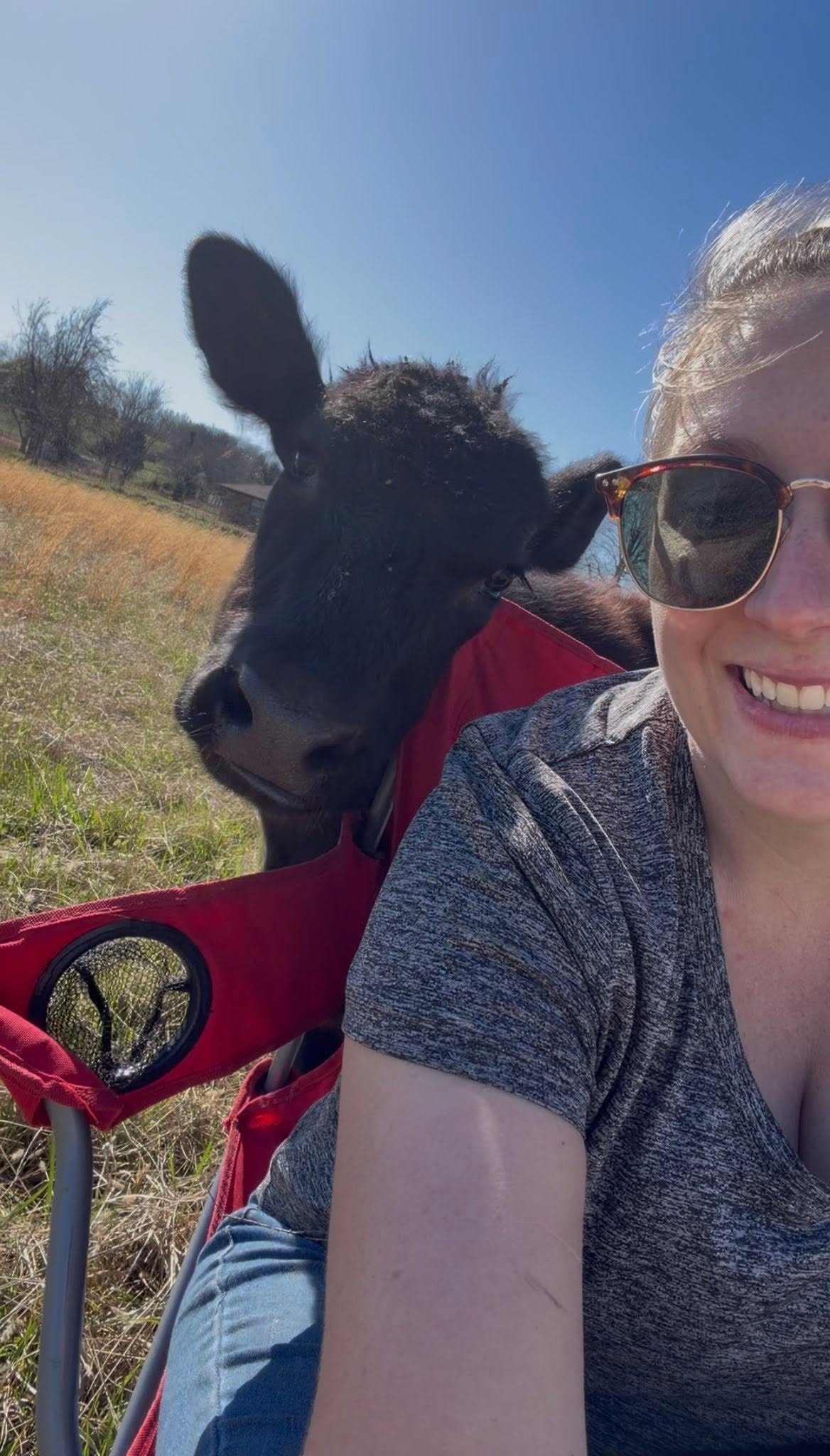 Help Maybel Find Her Forever Pasture Bestie campaign photo, 4 of 7