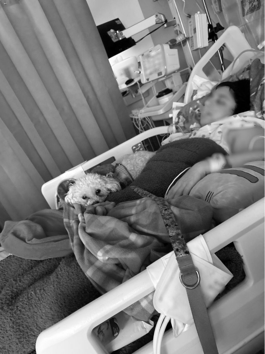 Hailey’s Fight To Wheel Her Life campaign photo, 6 of 8