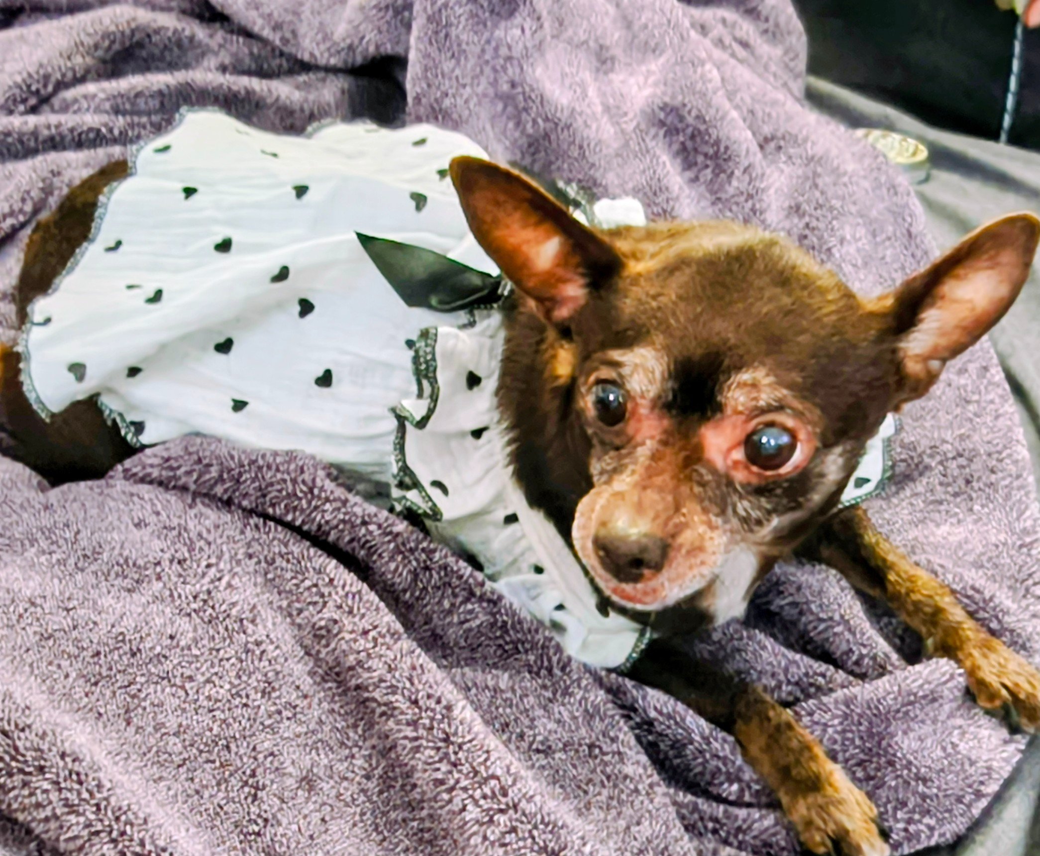 Save Nina’s Life Through Surgery campaign photo, 2 of 4