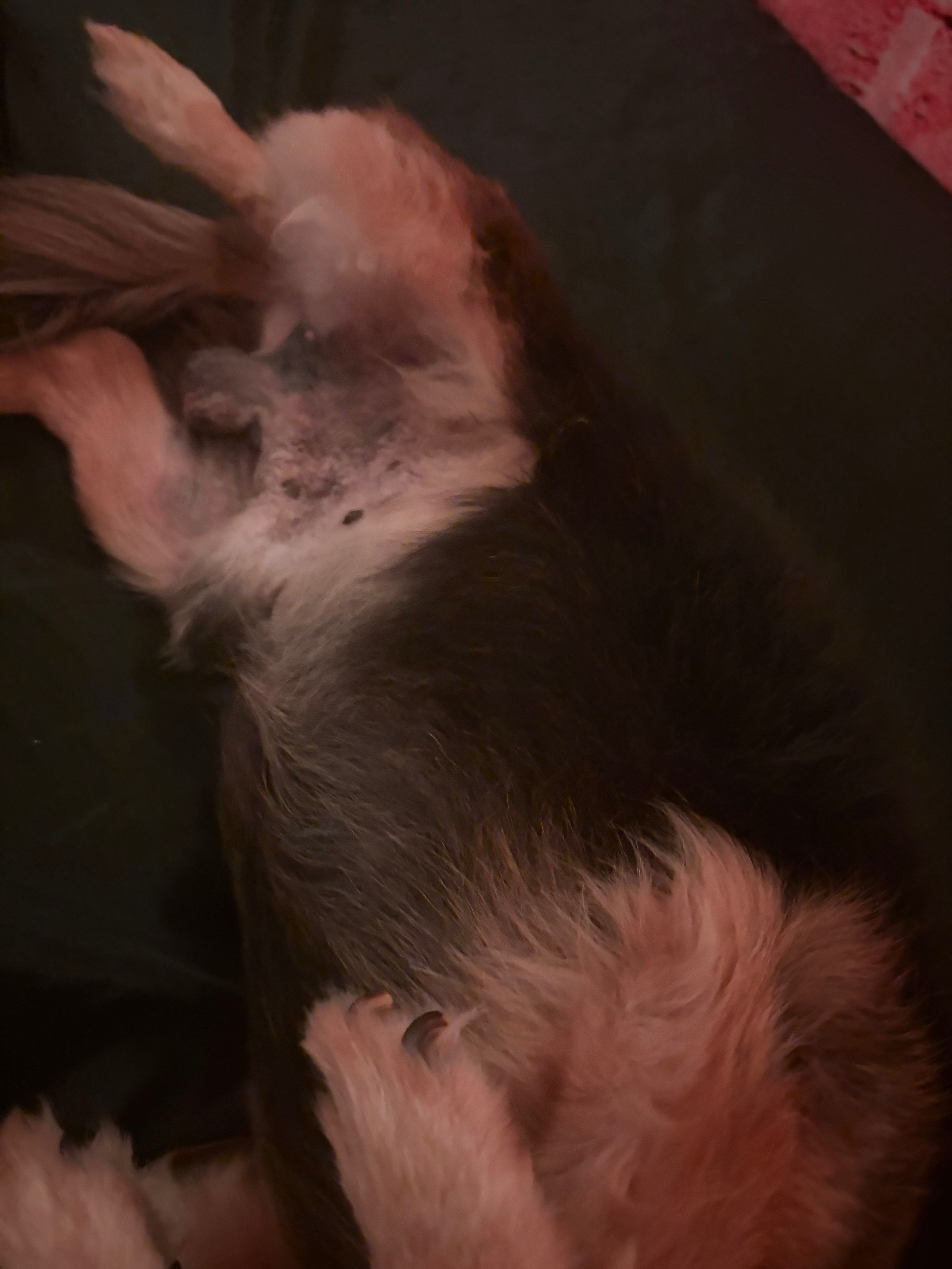 Help Tito Get Life-Saving Surgery campaign photo, 5 of 6