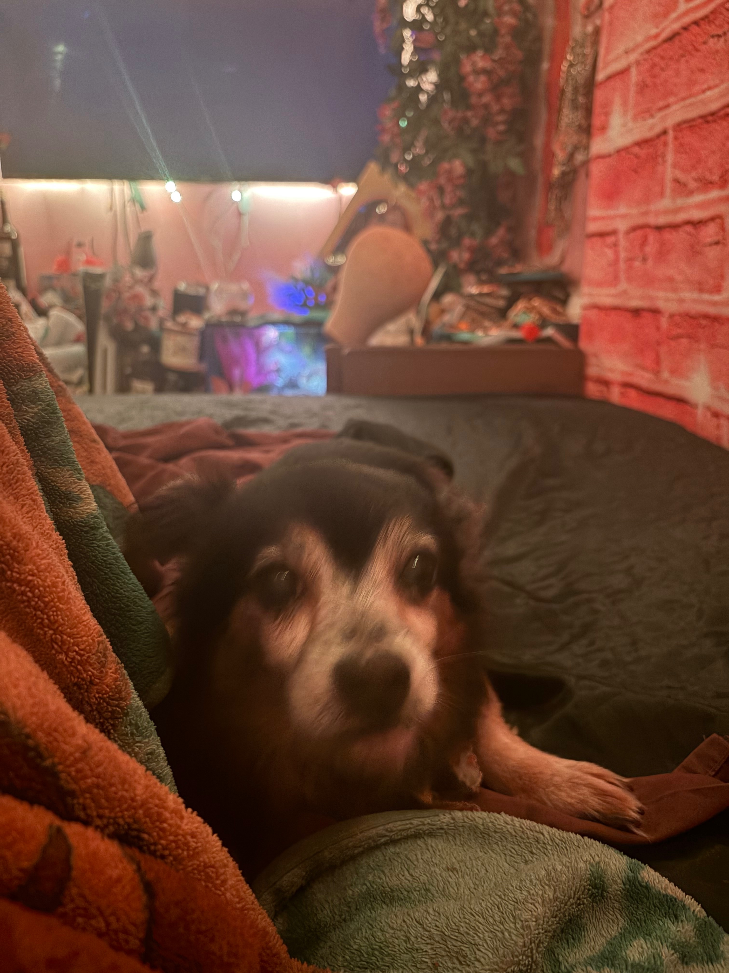 Help Tito Get Life-Saving Surgery campaign photo, 4 of 6