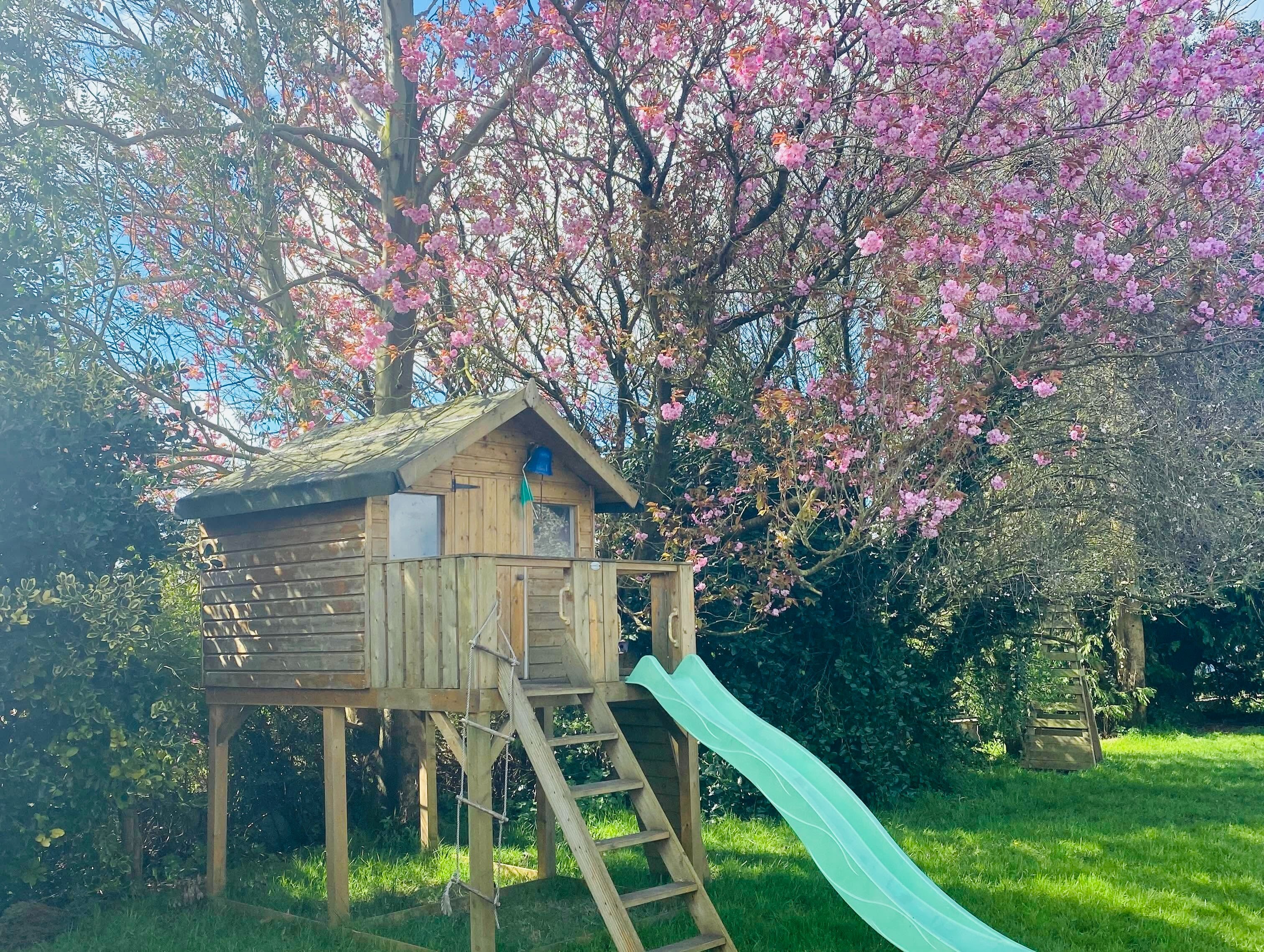 Donate to Help True Nature Sudbury School Thrive campaign photo, 4 of 8