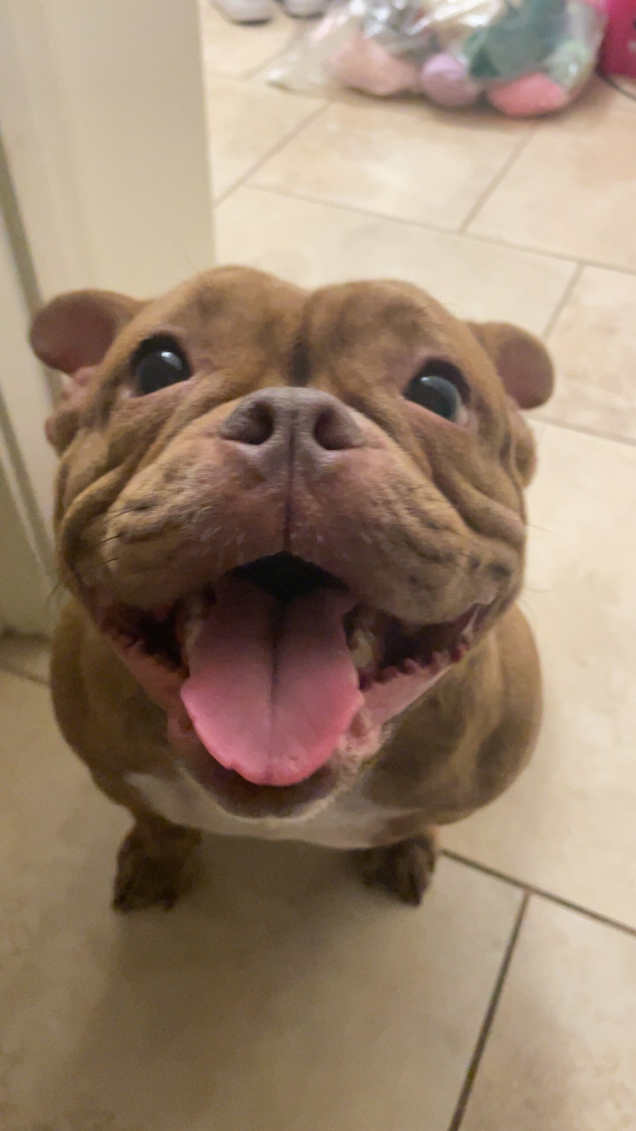 Help Darla Live a Normal Life campaign photo, 6 of 7