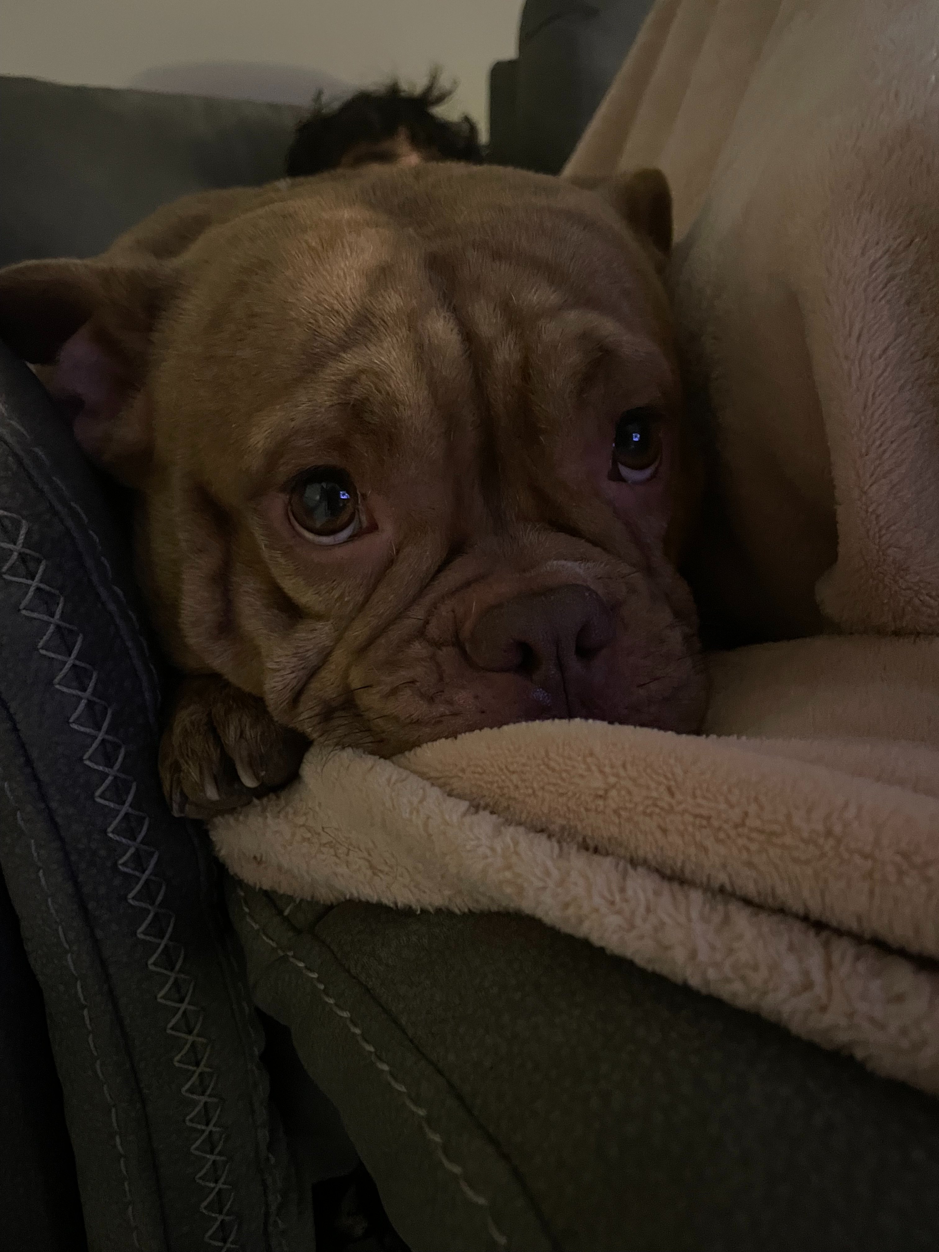 Help Darla Live a Normal Life campaign photo, 5 of 7