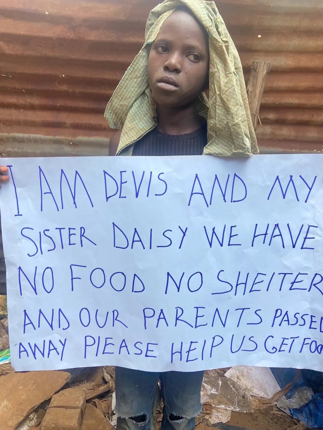 Food and Care for Devis and Daisy campaign photo, 2 of 7