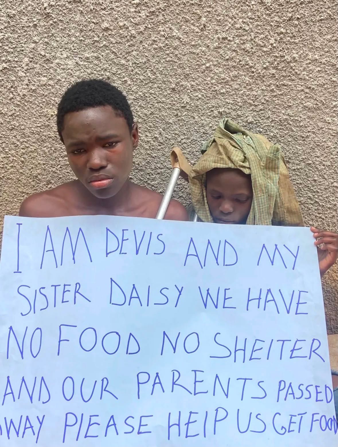 Food and Care for Devis and Daisy campaign photo, 4 of 7