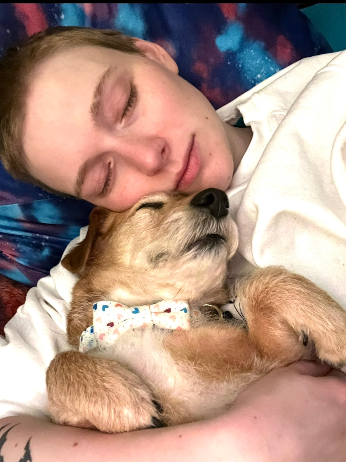 Keeping Jayme and Winston Sheltered campaign photo, 4 of 5