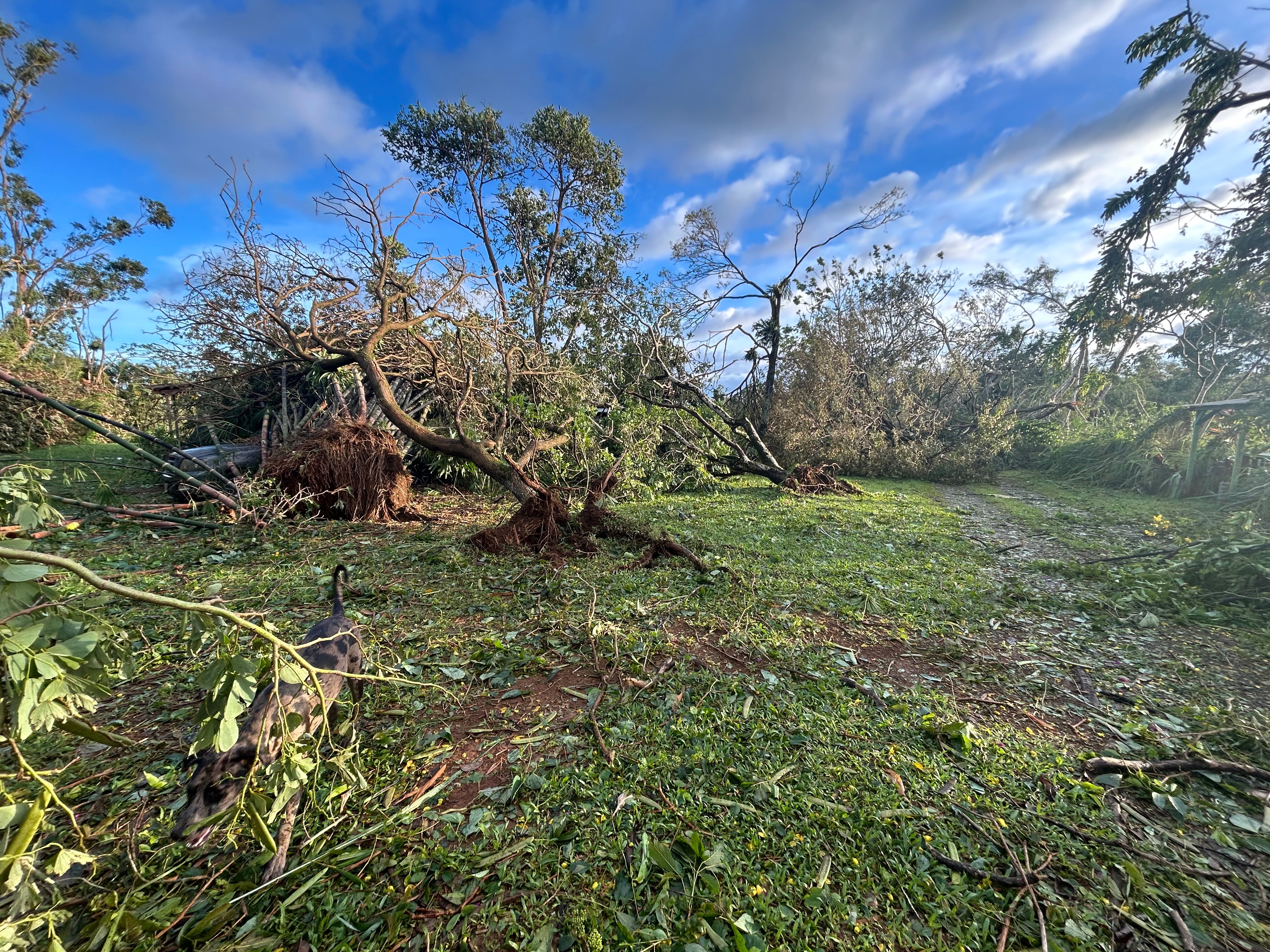 Help Wall Ohana Recover Farm After Lowell campaign photo, 7 of 8