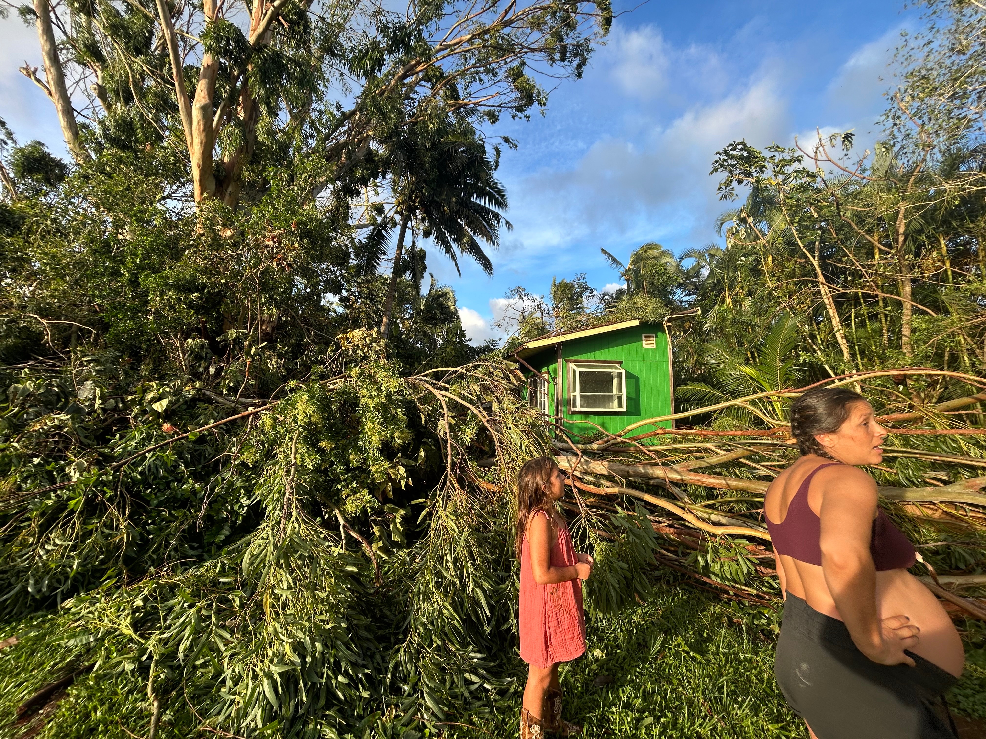 Help Wall Ohana Recover Farm After Lowell campaign photo, 2 of 8
