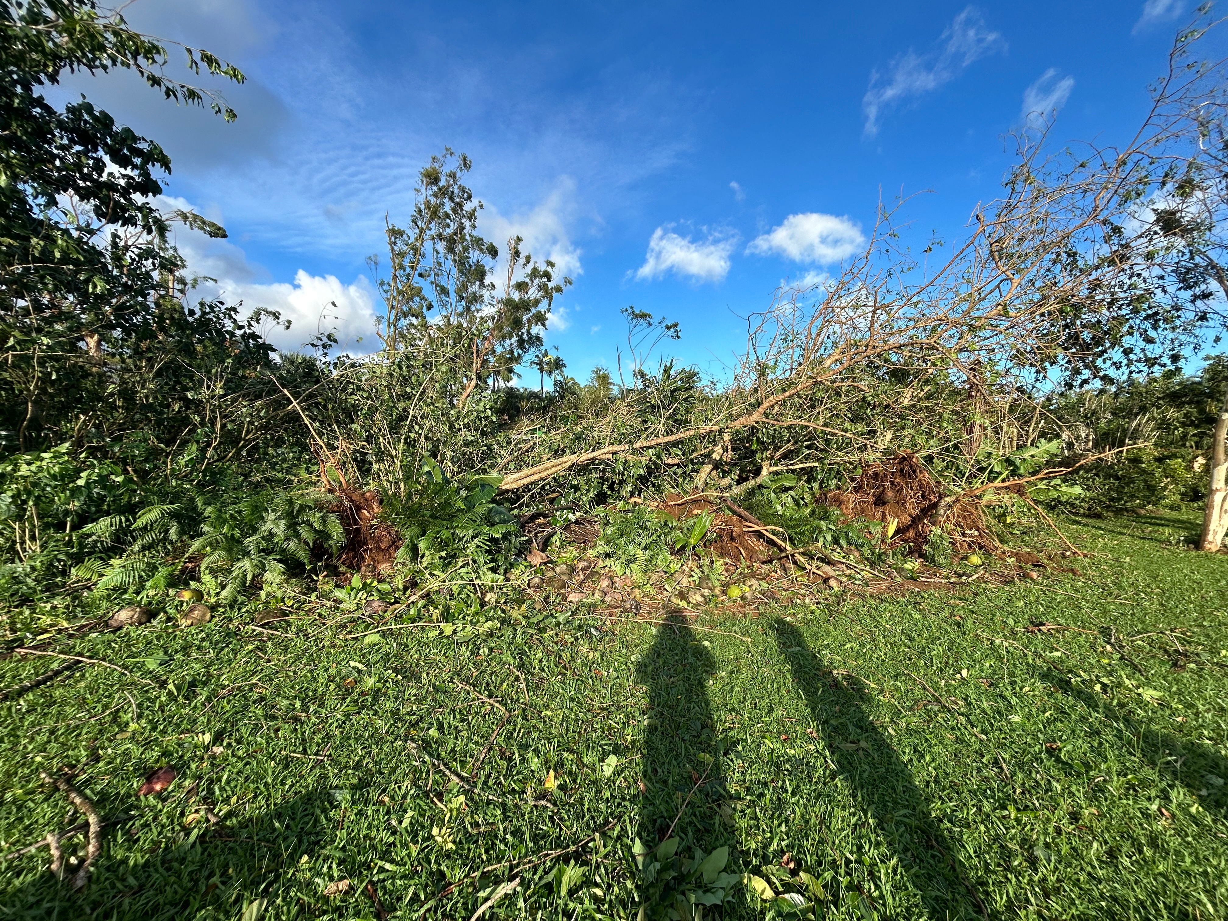 Help Wall Ohana Recover Farm After Lowell campaign photo, 4 of 8