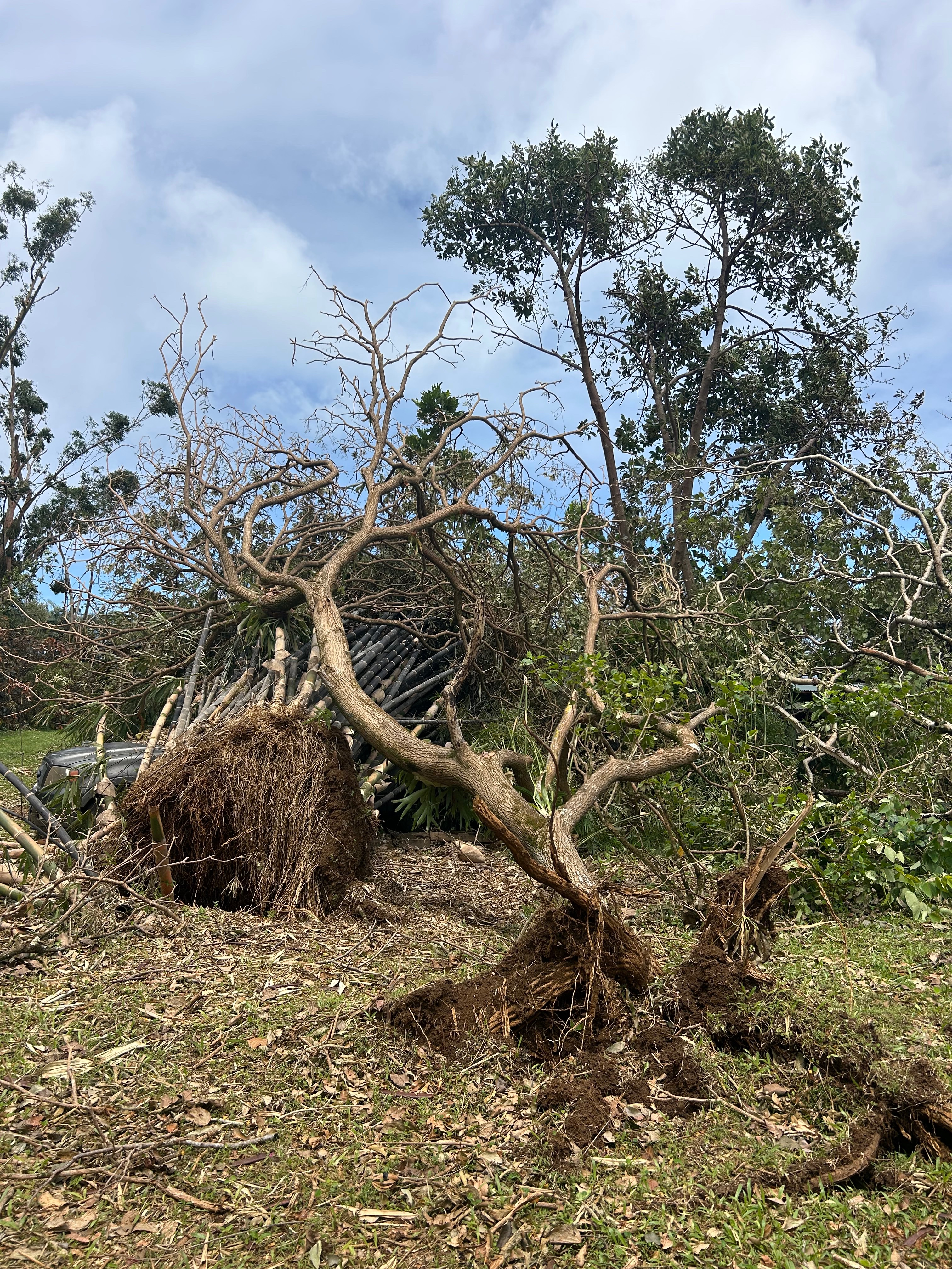 Help Wall Ohana Recover Farm After Lowell campaign photo, 5 of 8