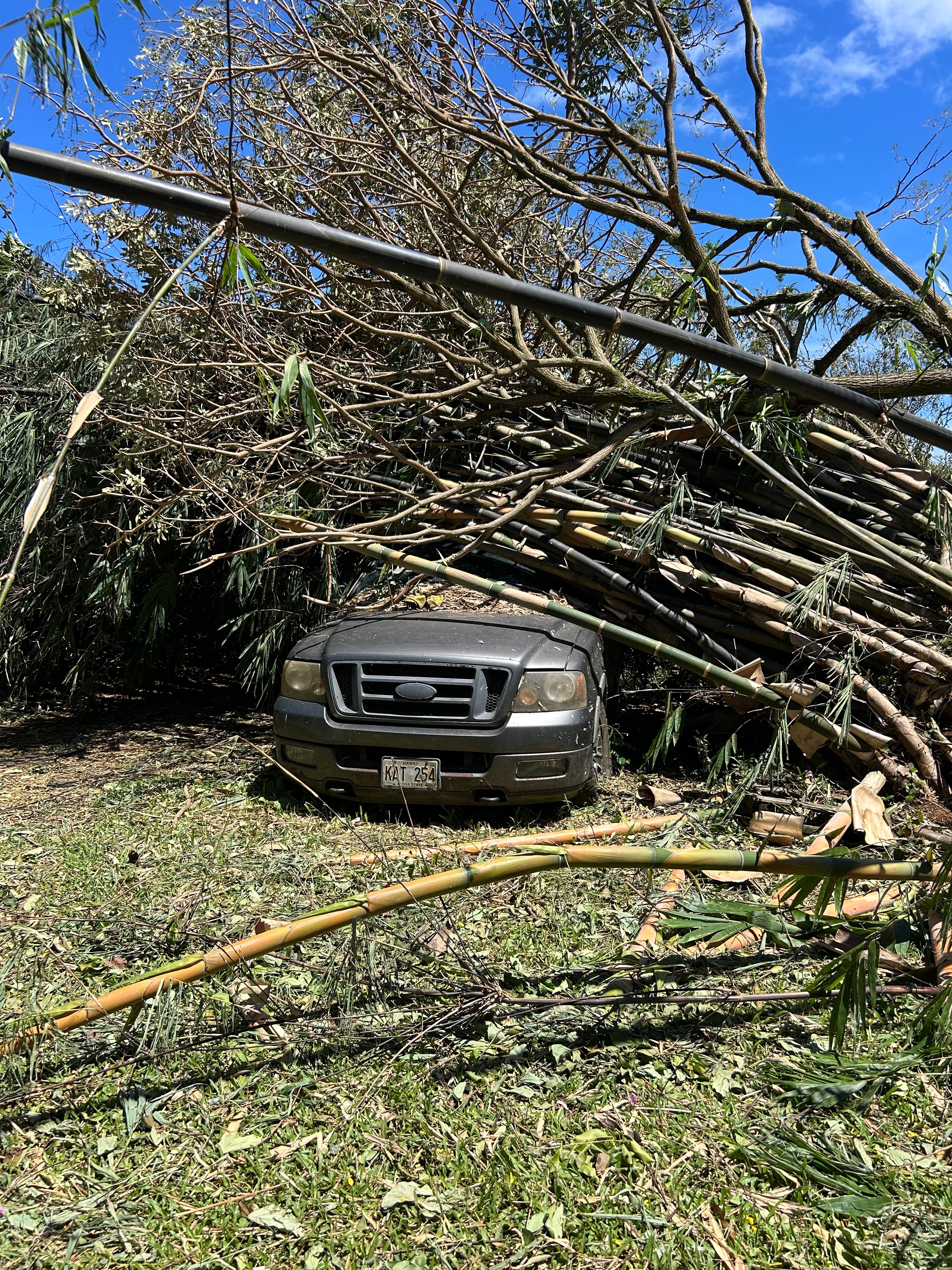 Help Wall Ohana Recover Farm After Lowell campaign photo, 6 of 8
