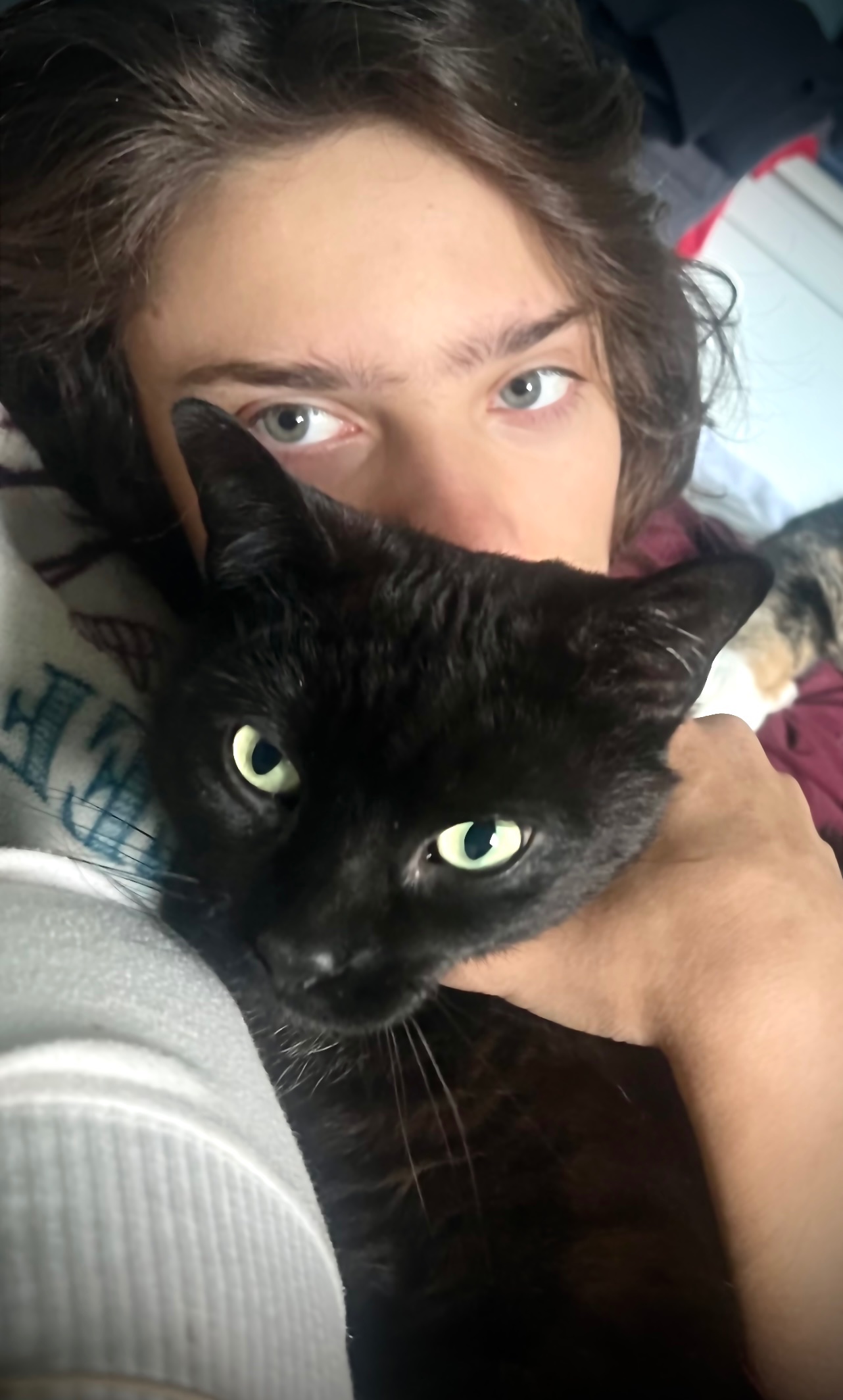 Help Save My Cat’s Life campaign photo, 2 of 8