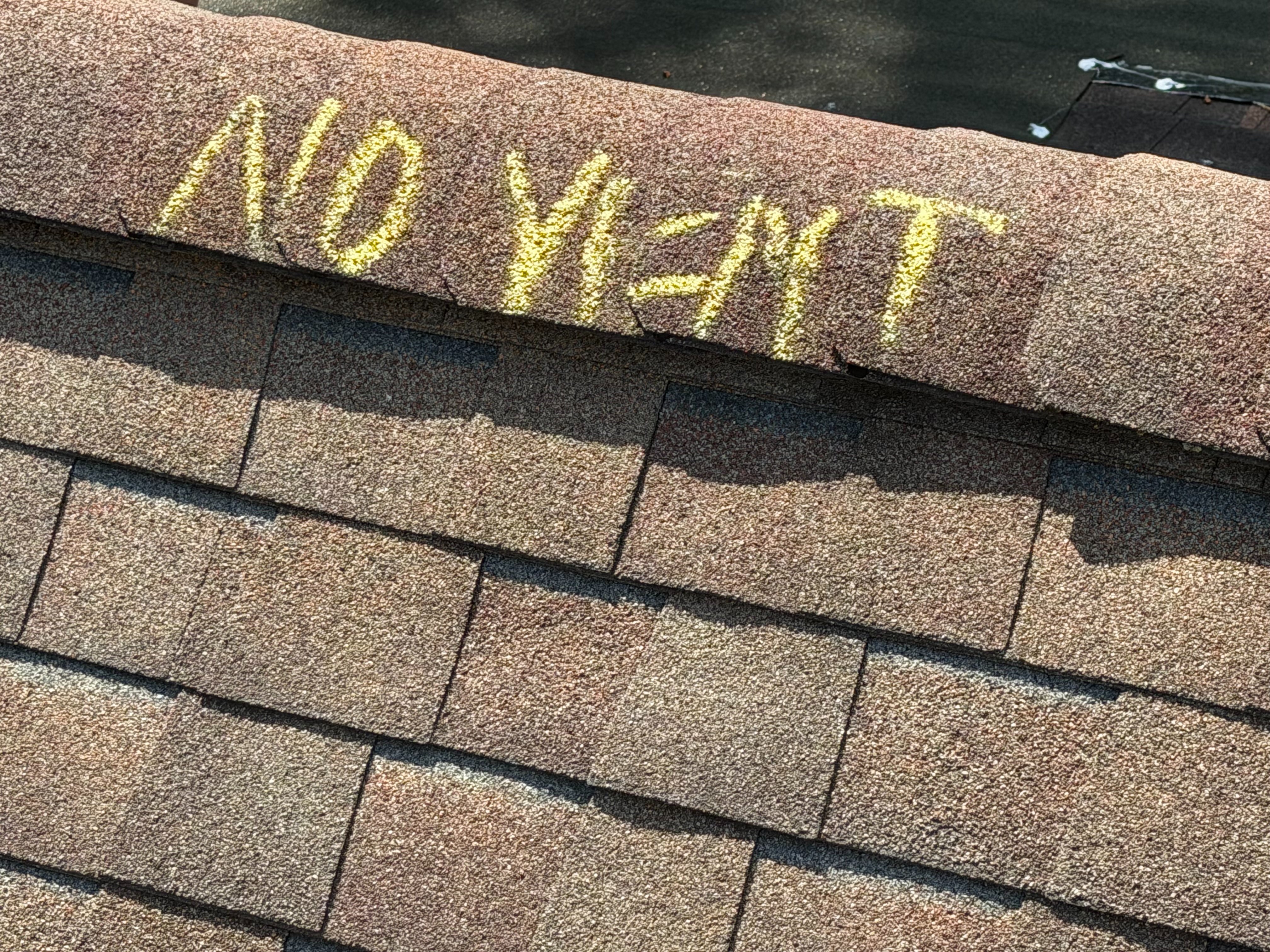 Support Nathaniel and Morgan’s New Roof campaign photo, 7 of 8