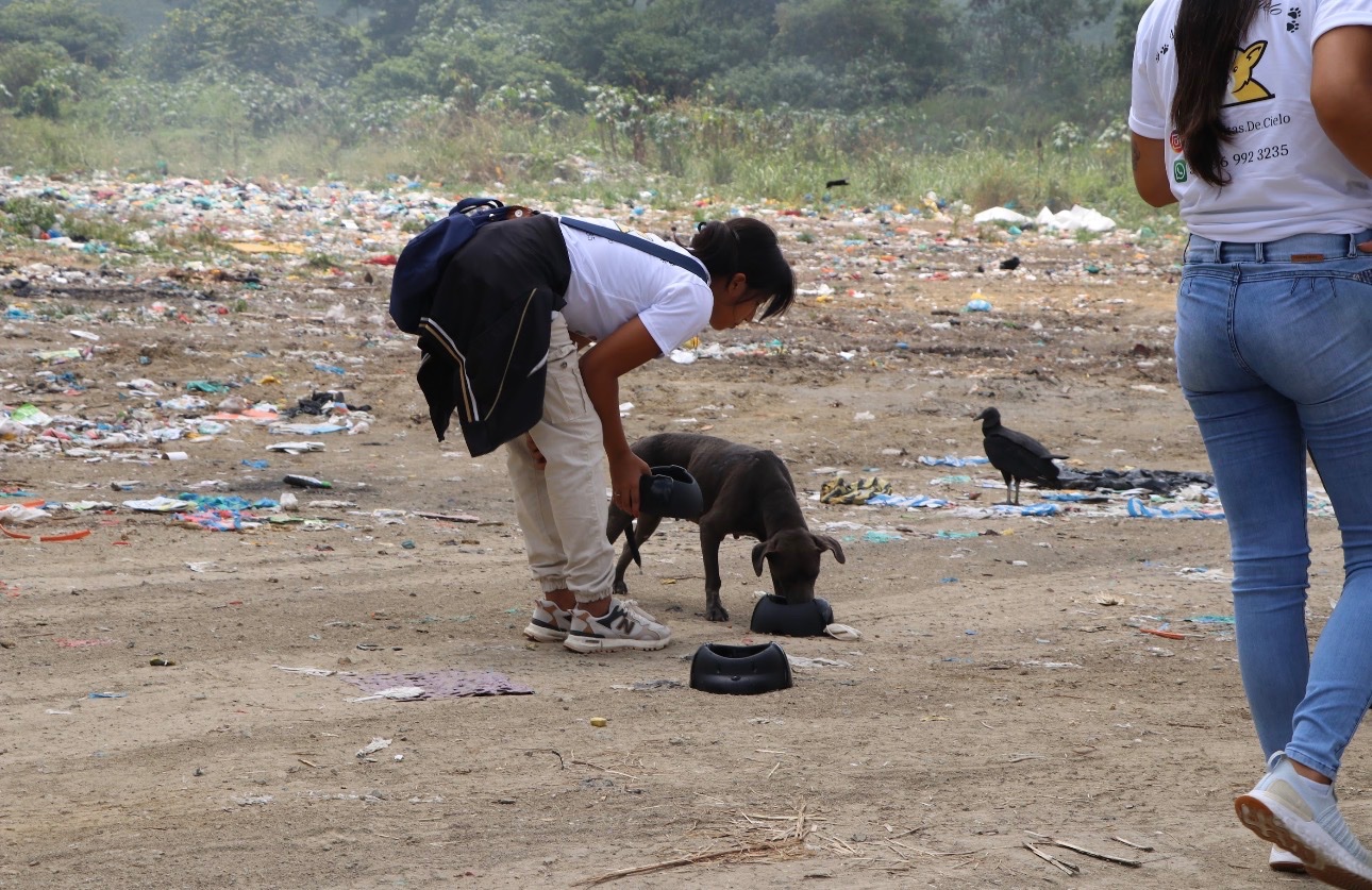 Help Heaven to the Rescue Save Animals in Ecuador campaign photo, 4 of 13