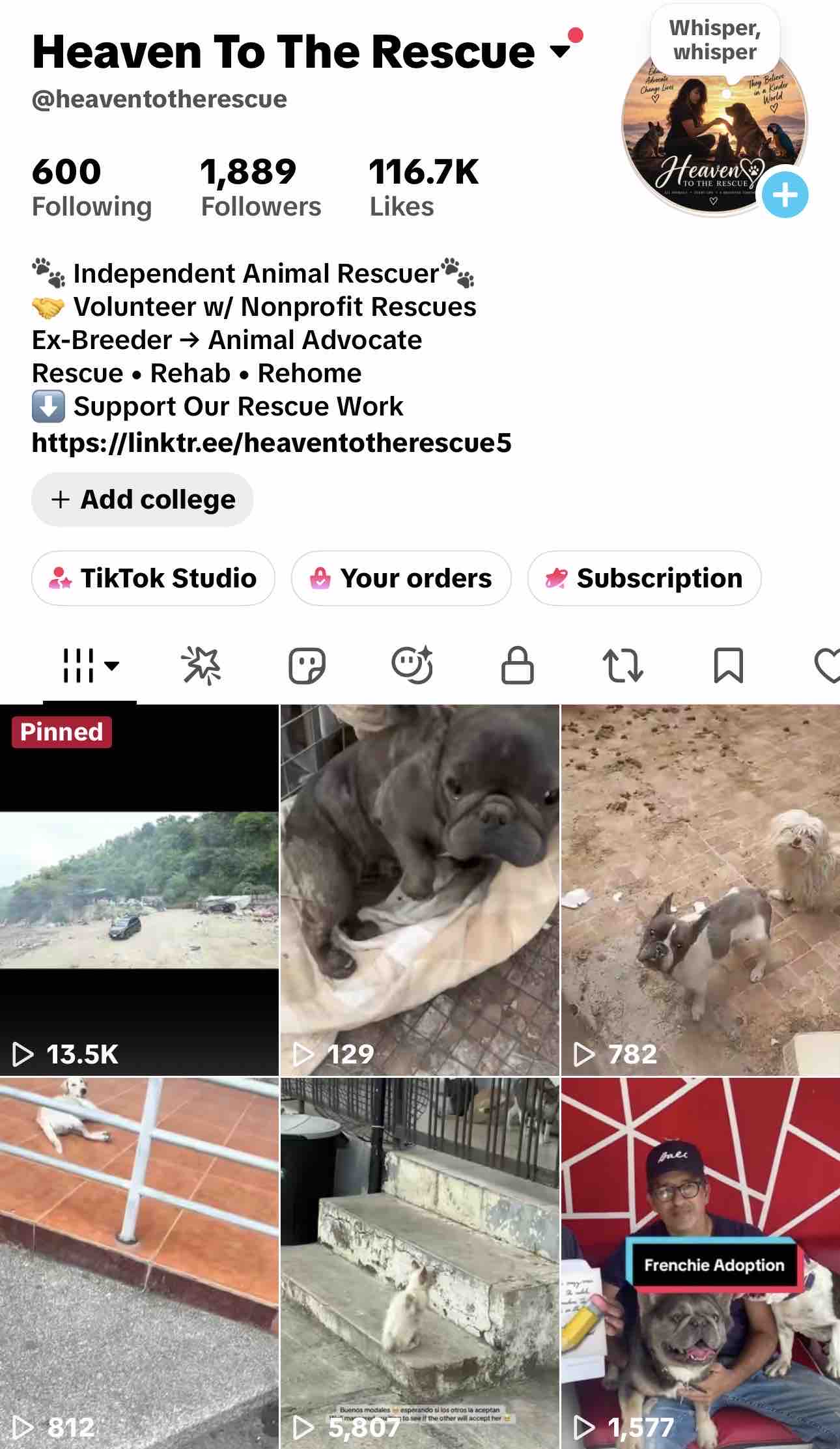 Help Heaven to the Rescue Save Animals in Ecuador campaign photo, 11 of 13